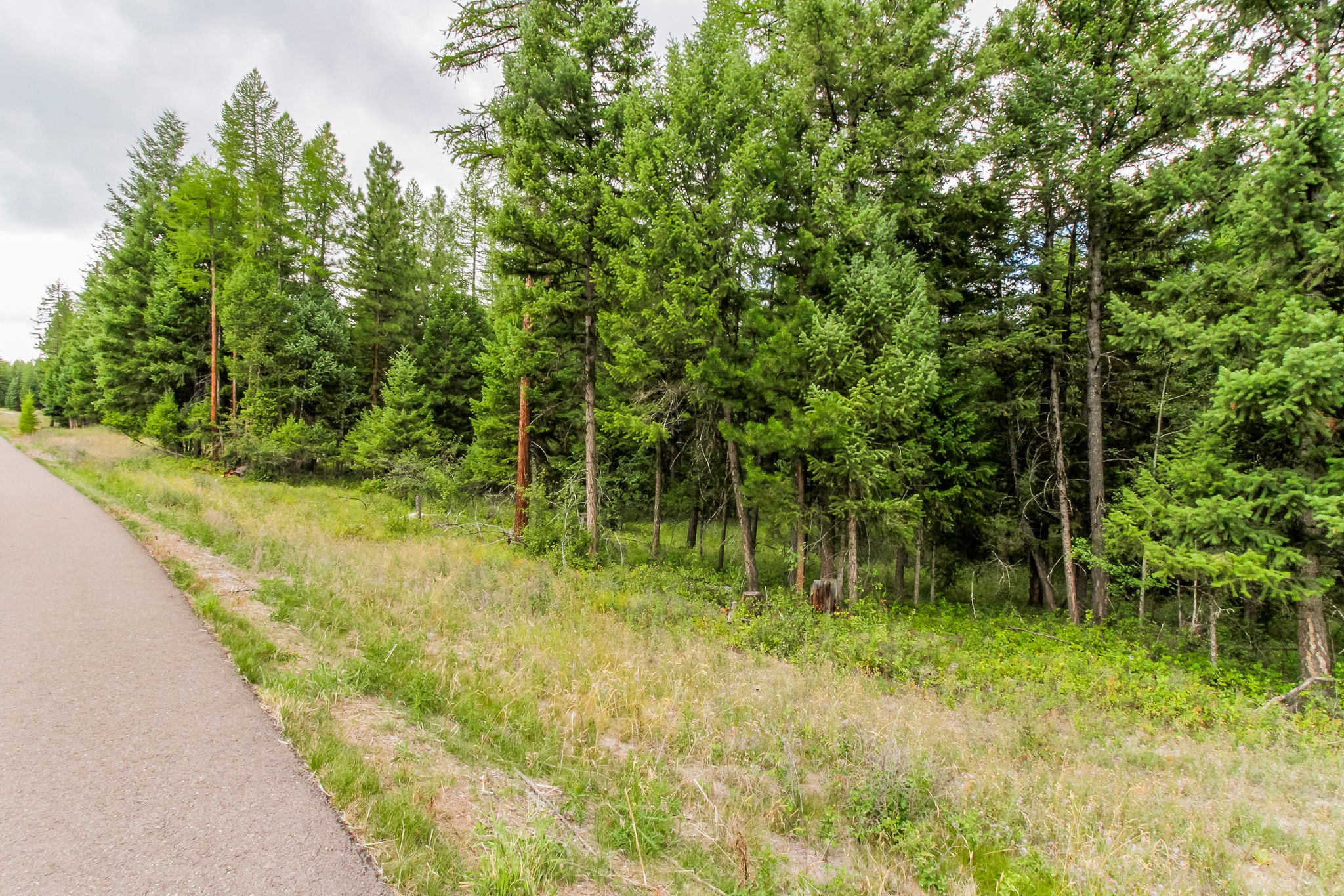 445 Haskill Ranch Road Property Photo 5