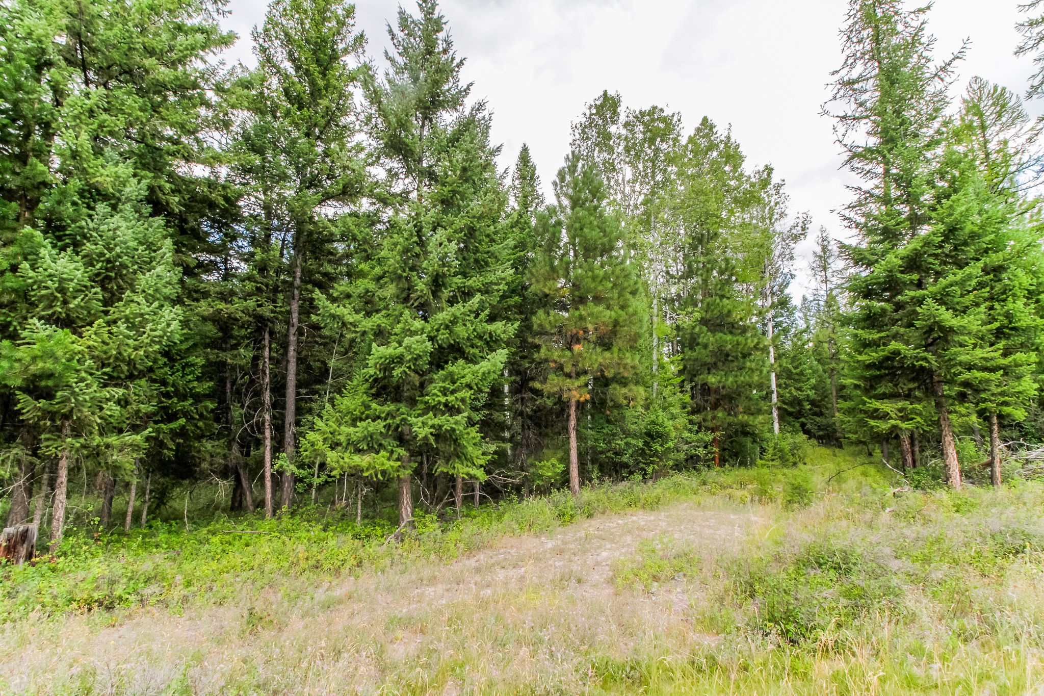 445 Haskill Ranch Road Property Photo 6