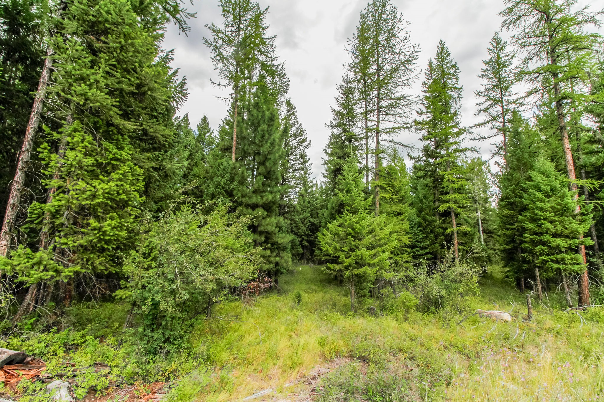 445 Haskill Ranch Road Property Photo 7