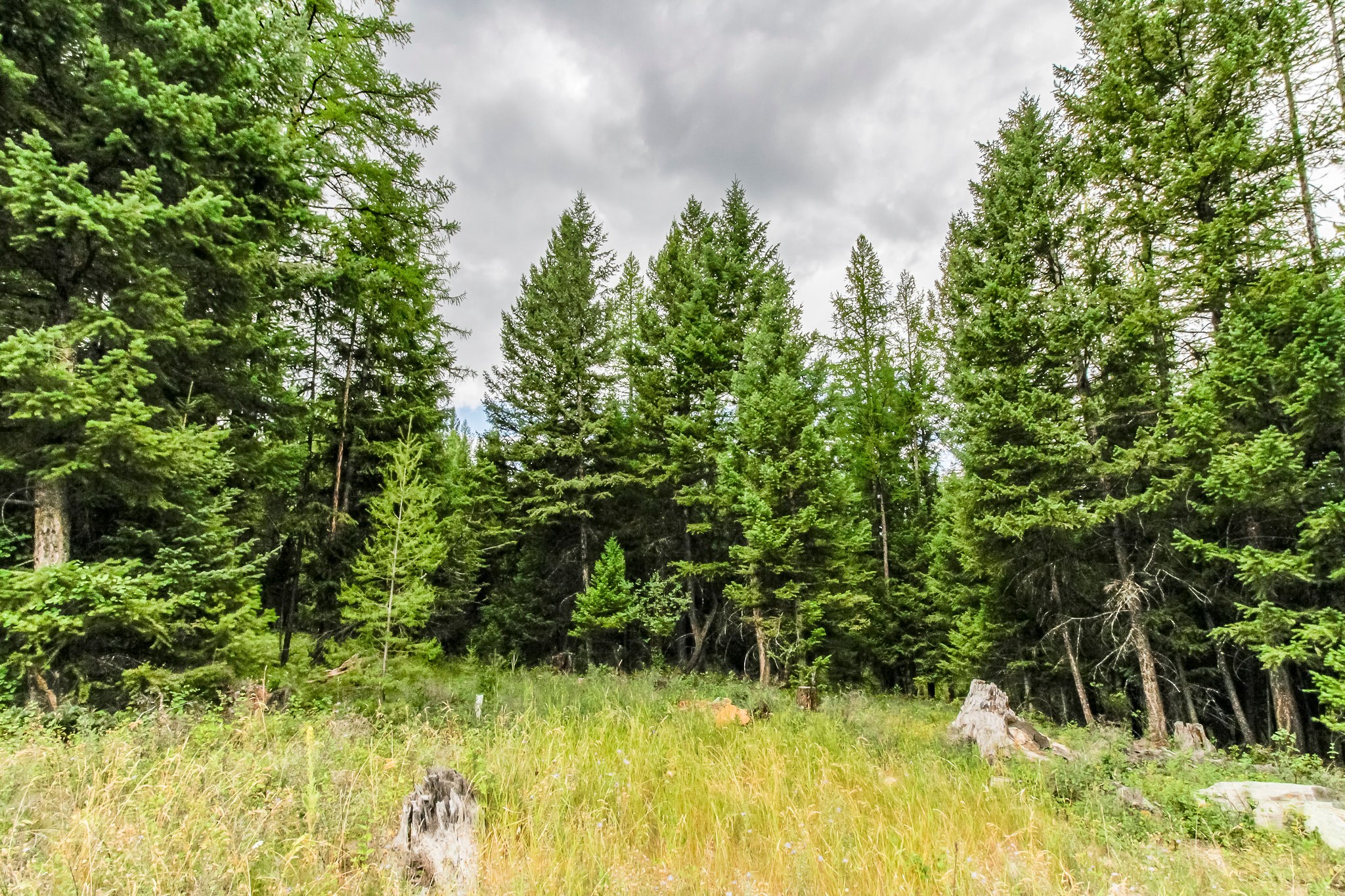 445 Haskill Ranch Road Property Photo 8