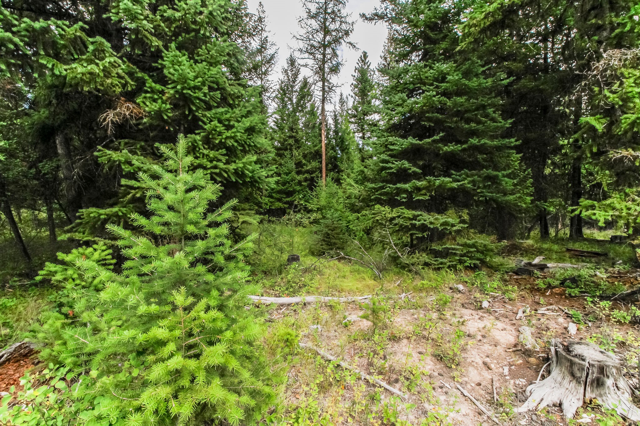 445 Haskill Ranch Road Property Photo 10