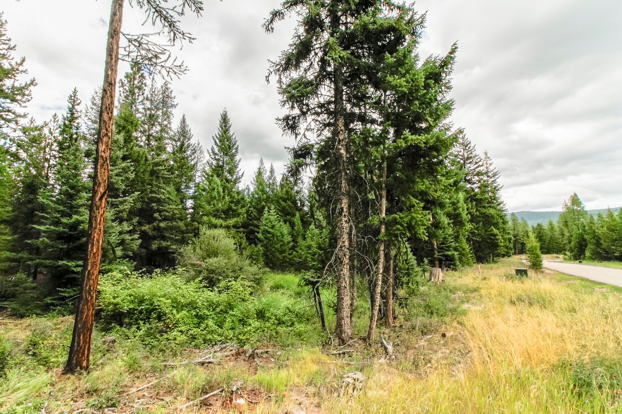 445 Haskill Ranch Road Property Photo 11