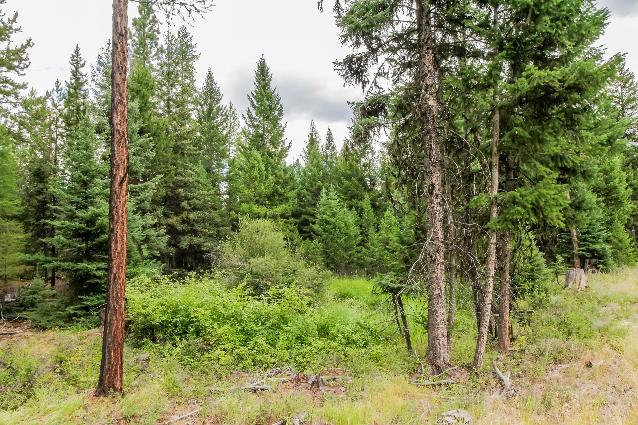 445 Haskill Ranch Road Property Photo 12