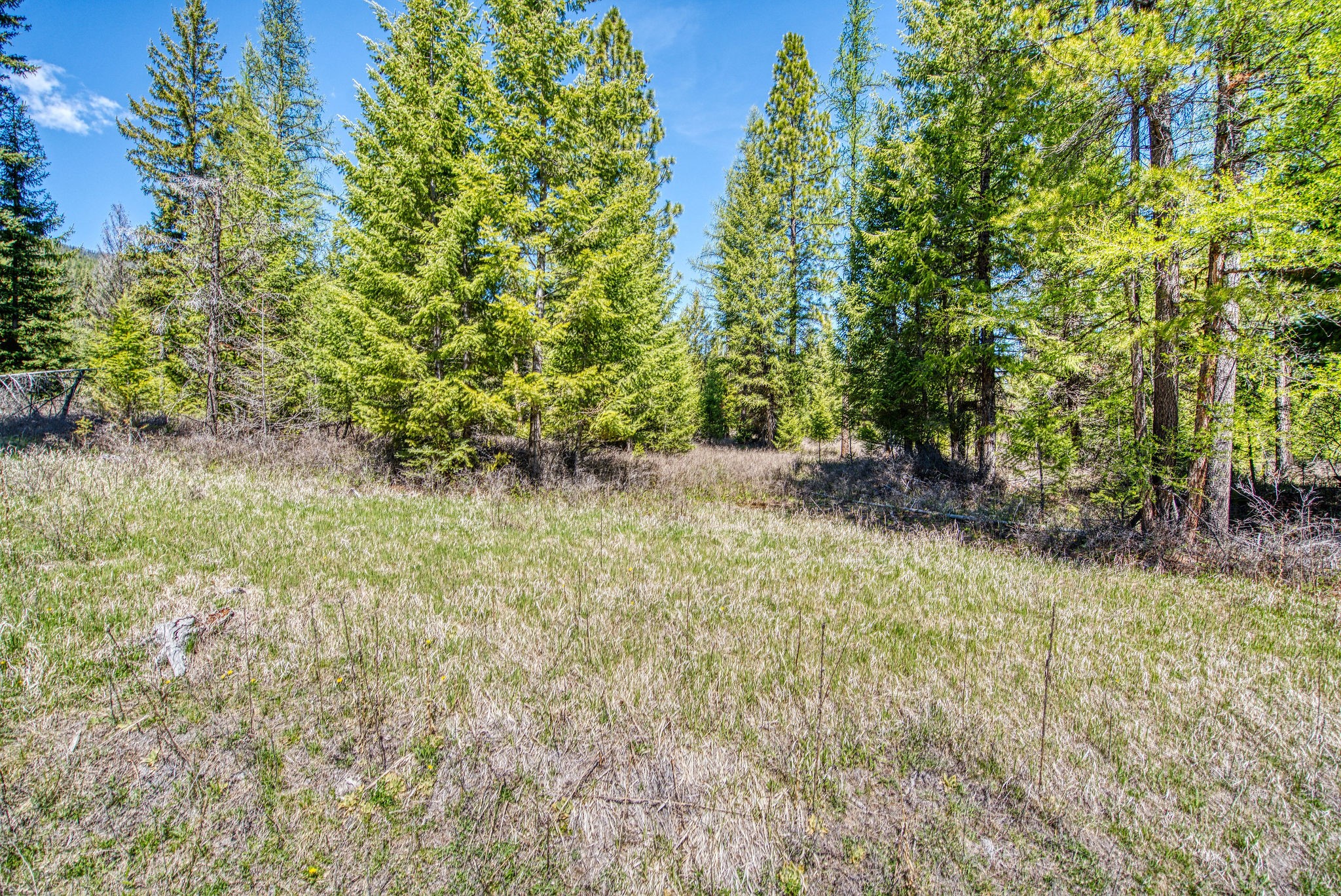 445 Haskill Ranch Road Property Photo 14