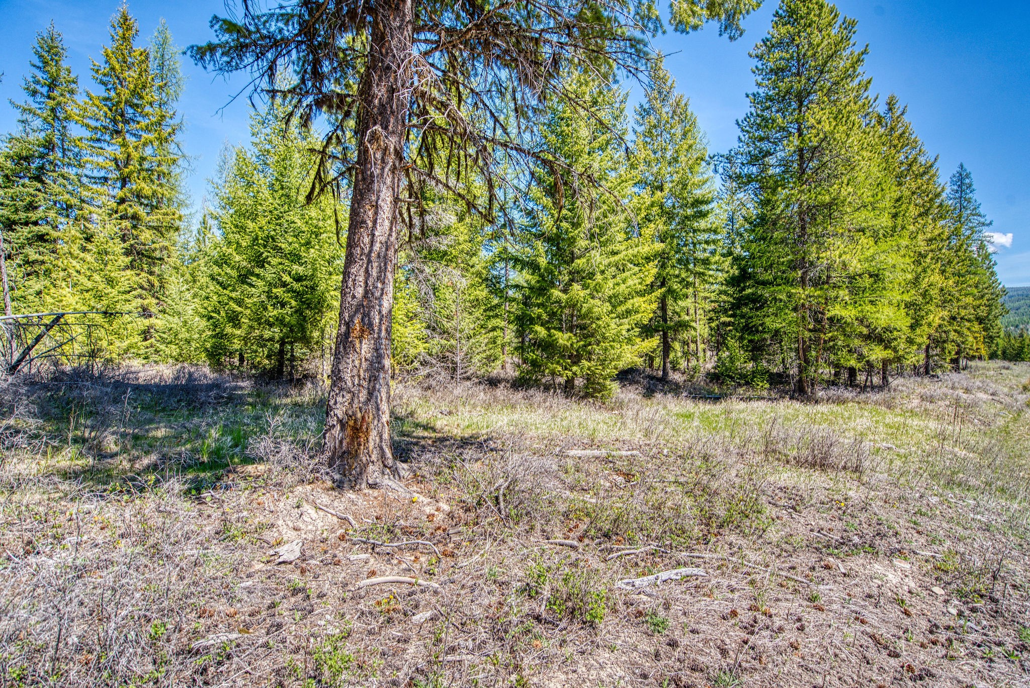 445 Haskill Ranch Road Property Photo 15