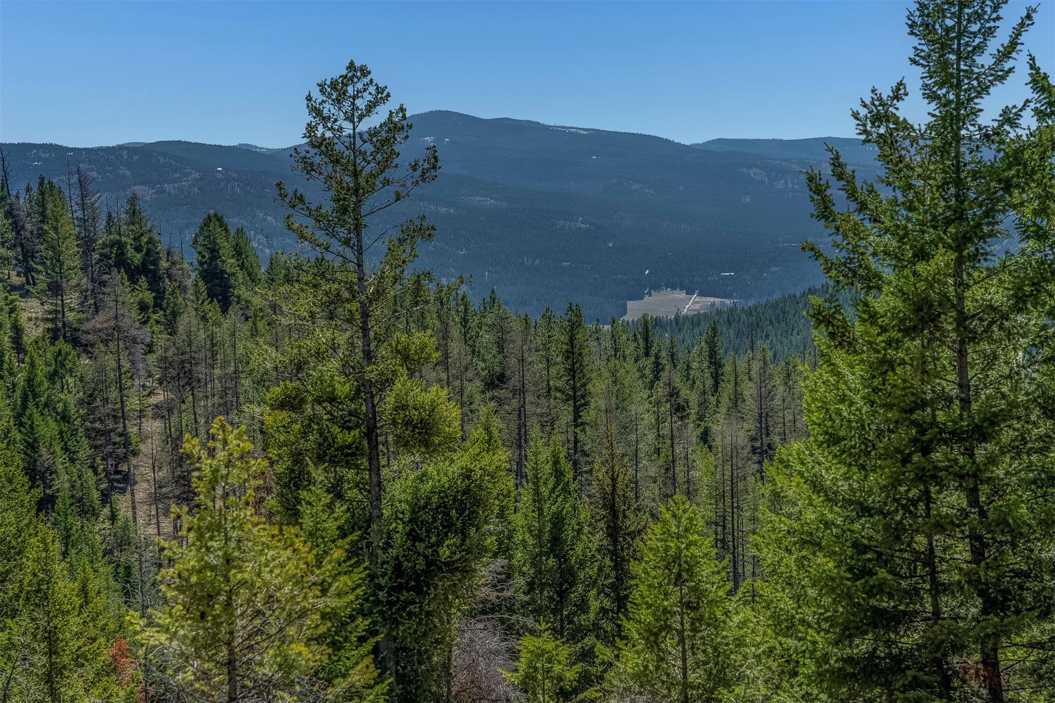 771 Jackson Meadows Road Property Photo