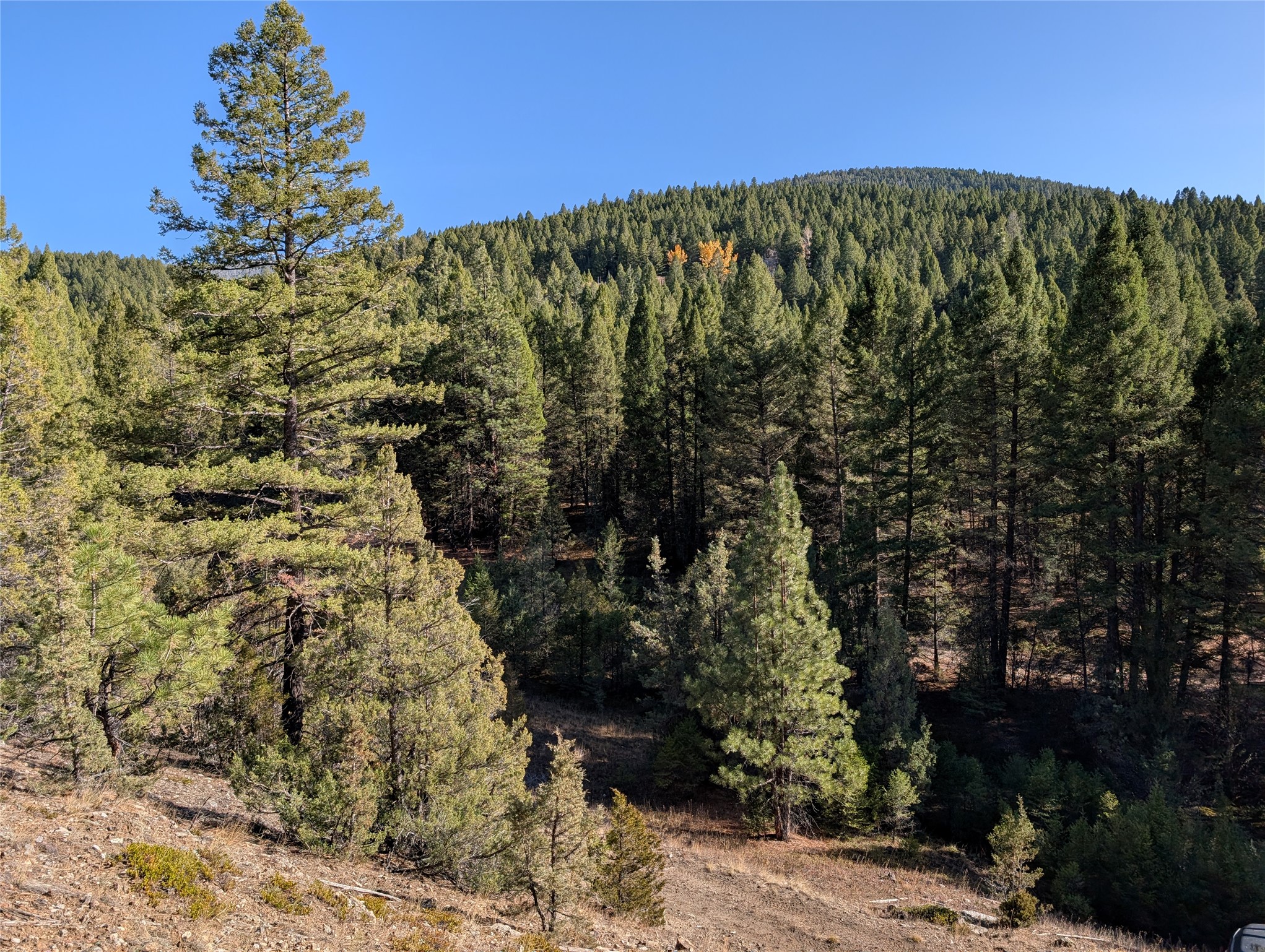White Horse Lode Tbd Property Photo 1