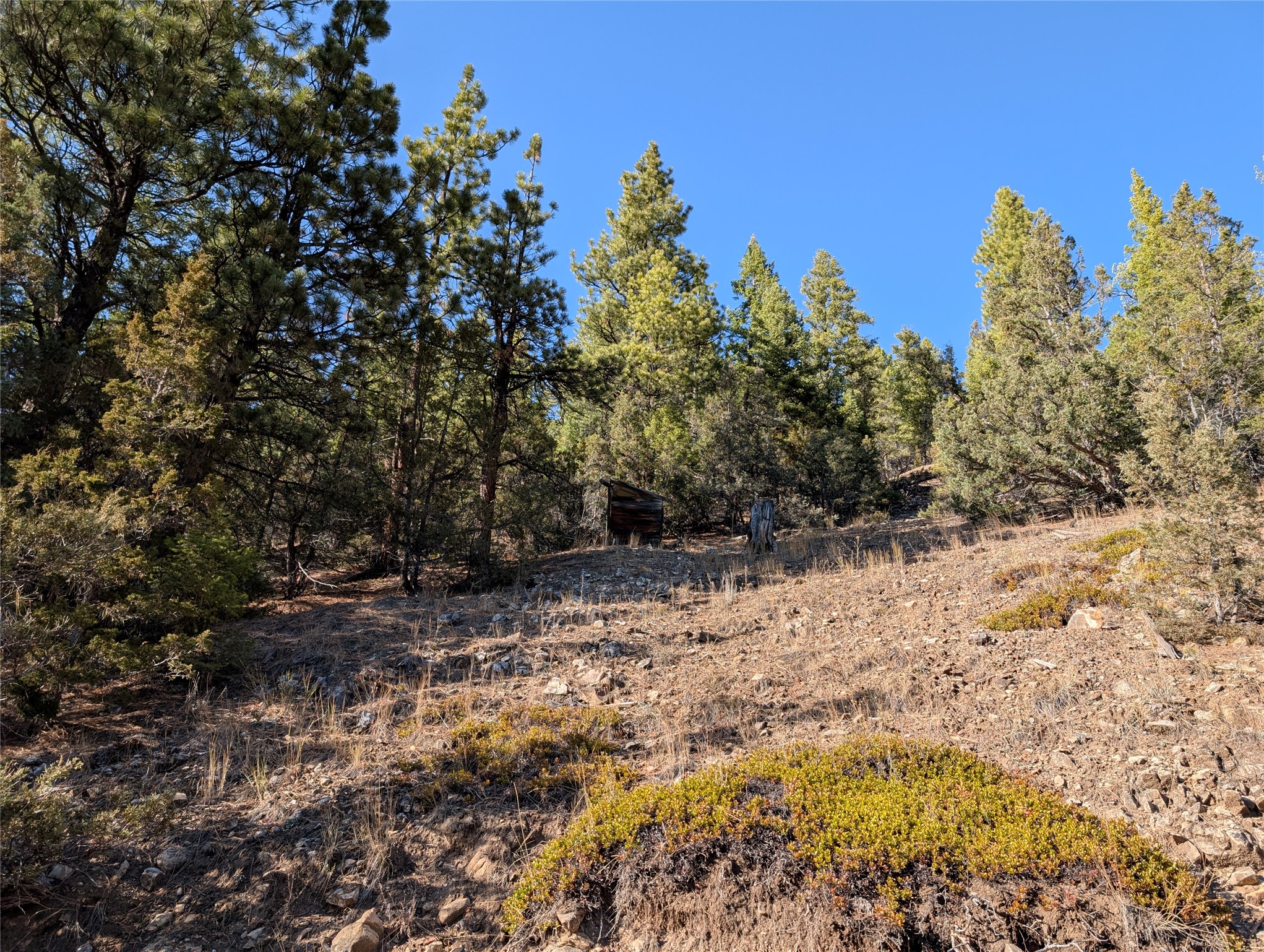 White Horse Lode Tbd Property Photo 2