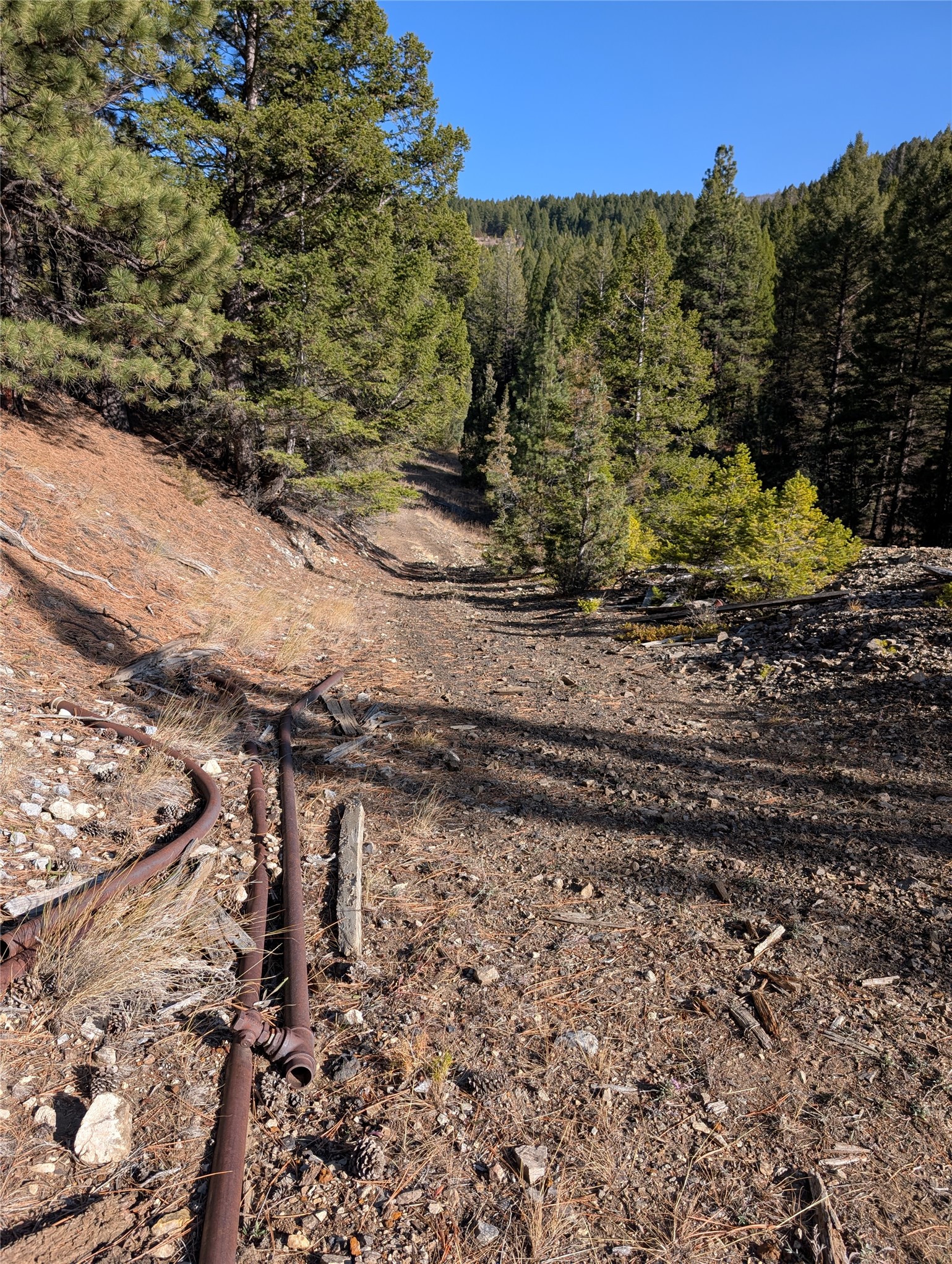 White Horse Lode Tbd Property Photo 6