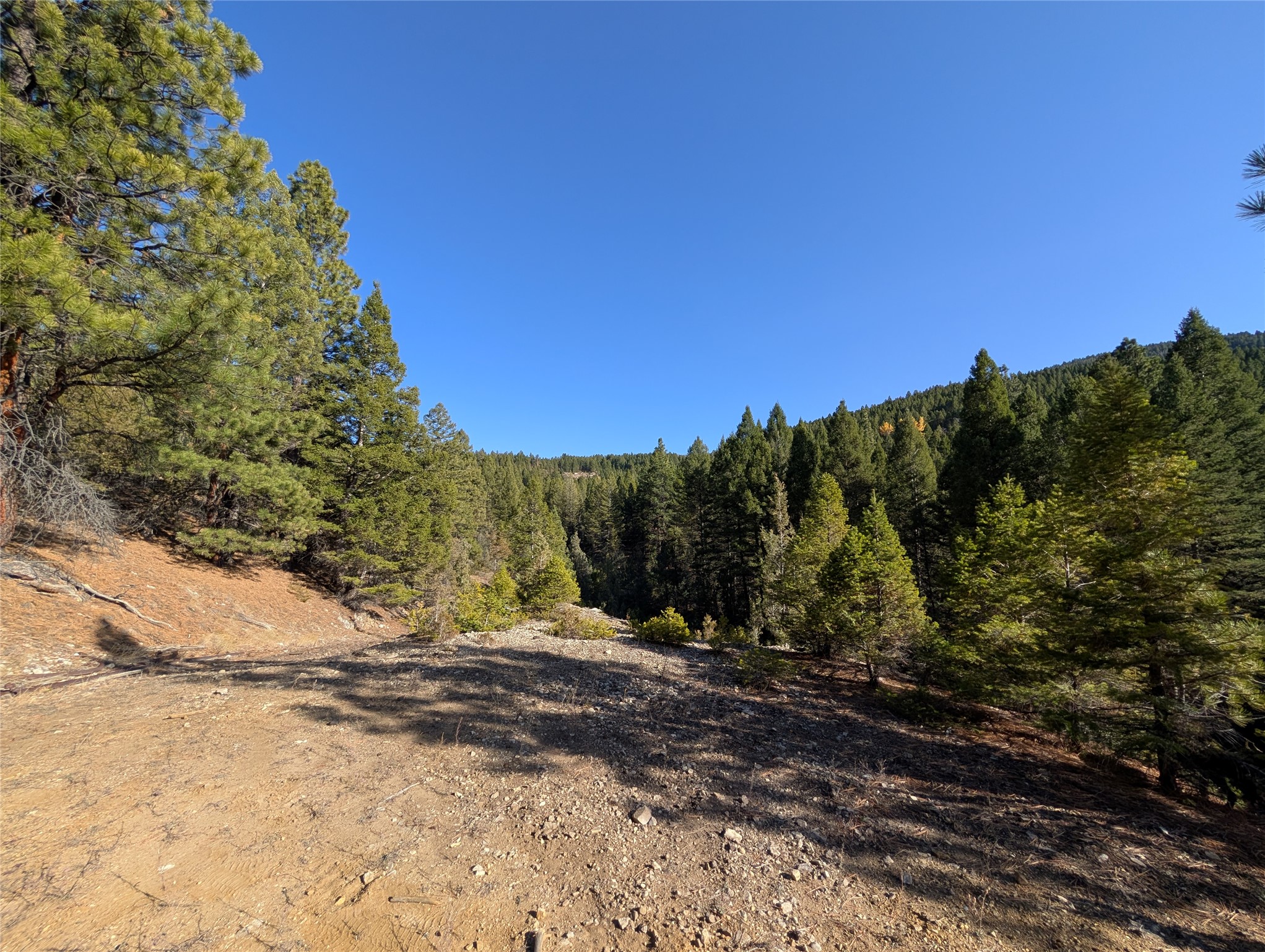 White Horse Lode Tbd Property Photo 8