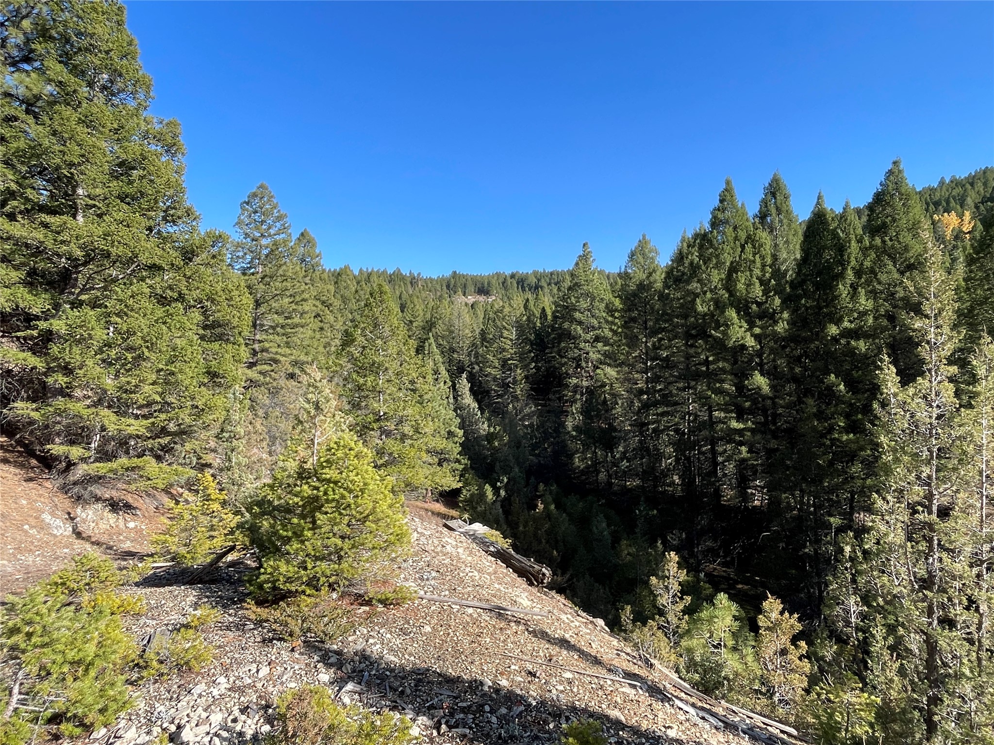White Horse Lode Tbd Property Photo 10