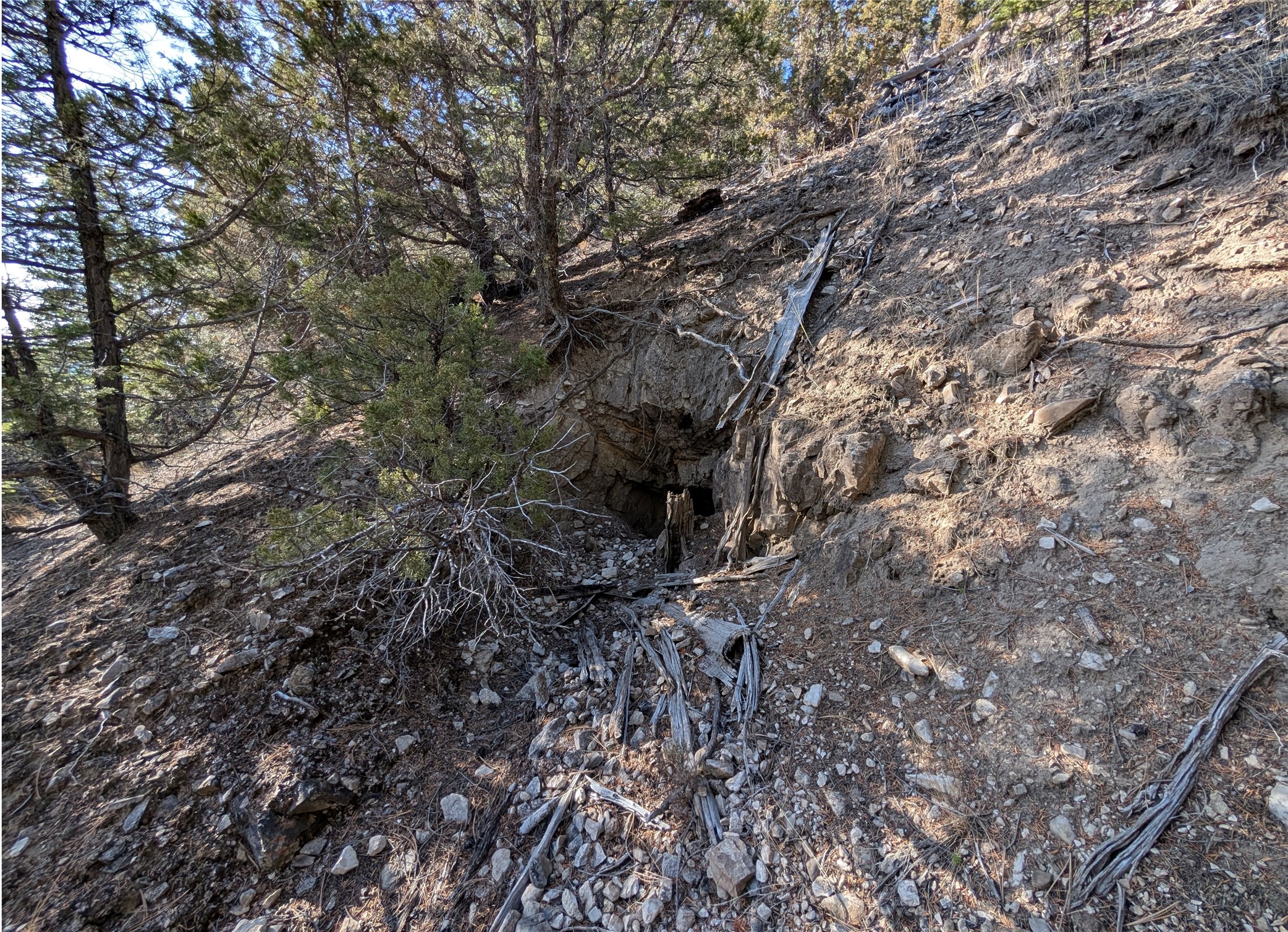 White Horse Lode Tbd Property Photo 12