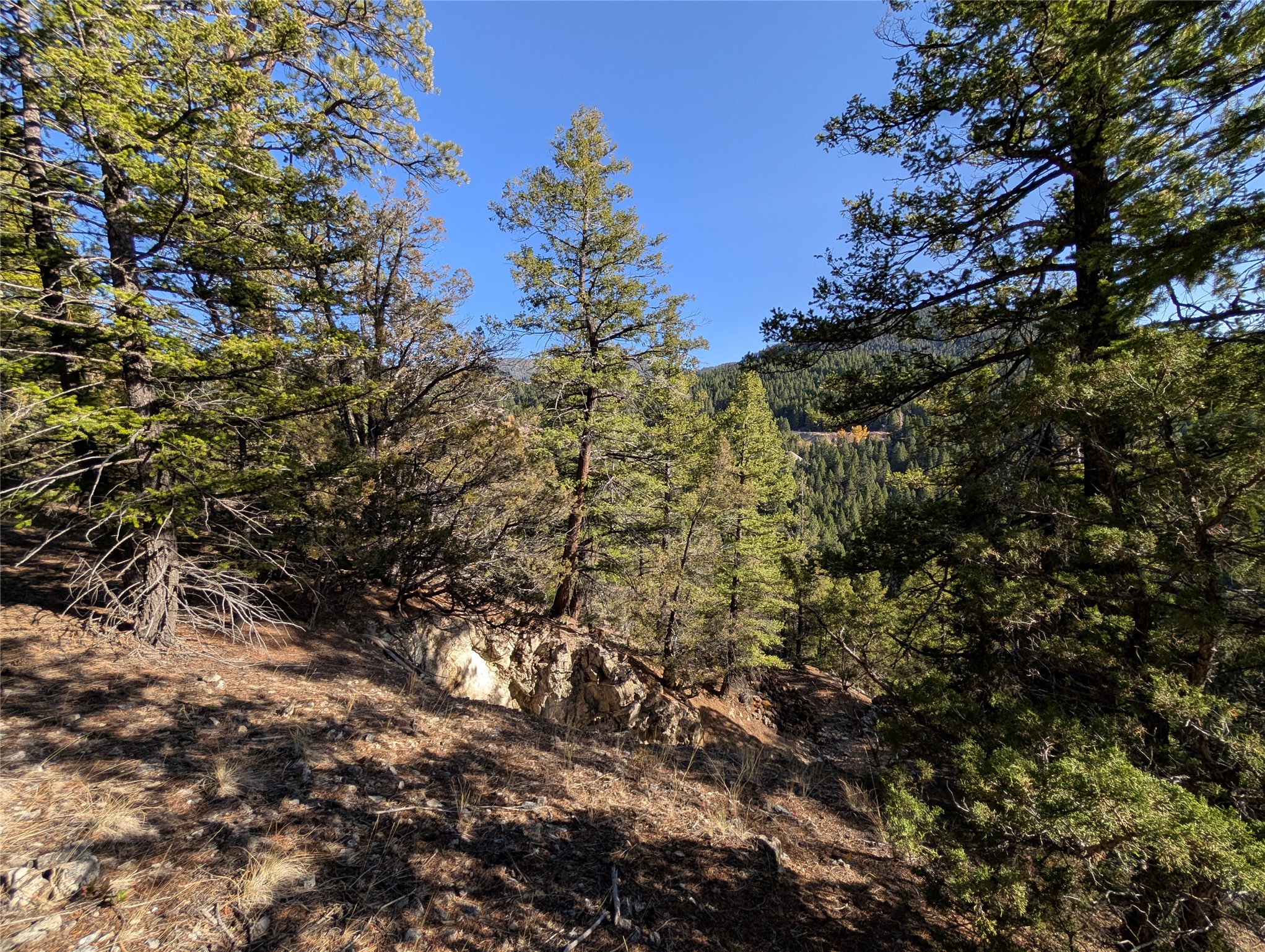 White Horse Lode Tbd Property Photo 16