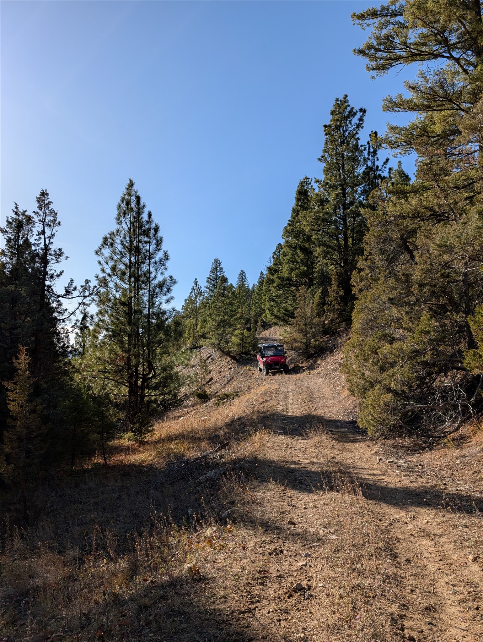 White Horse Lode Tbd Property Photo 17