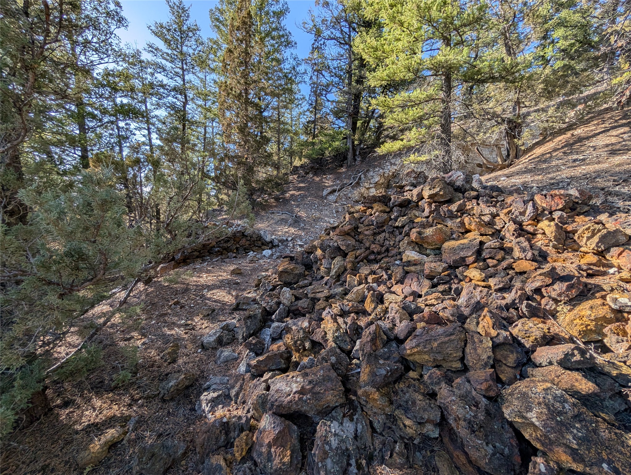 White Horse Lode Tbd Property Photo 18