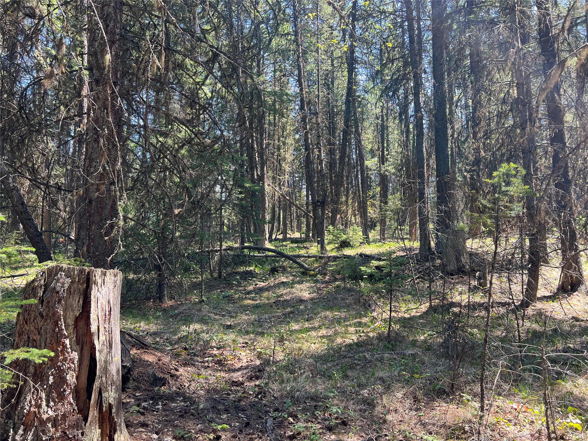 777 Meadow Creek Road Property Photo 23