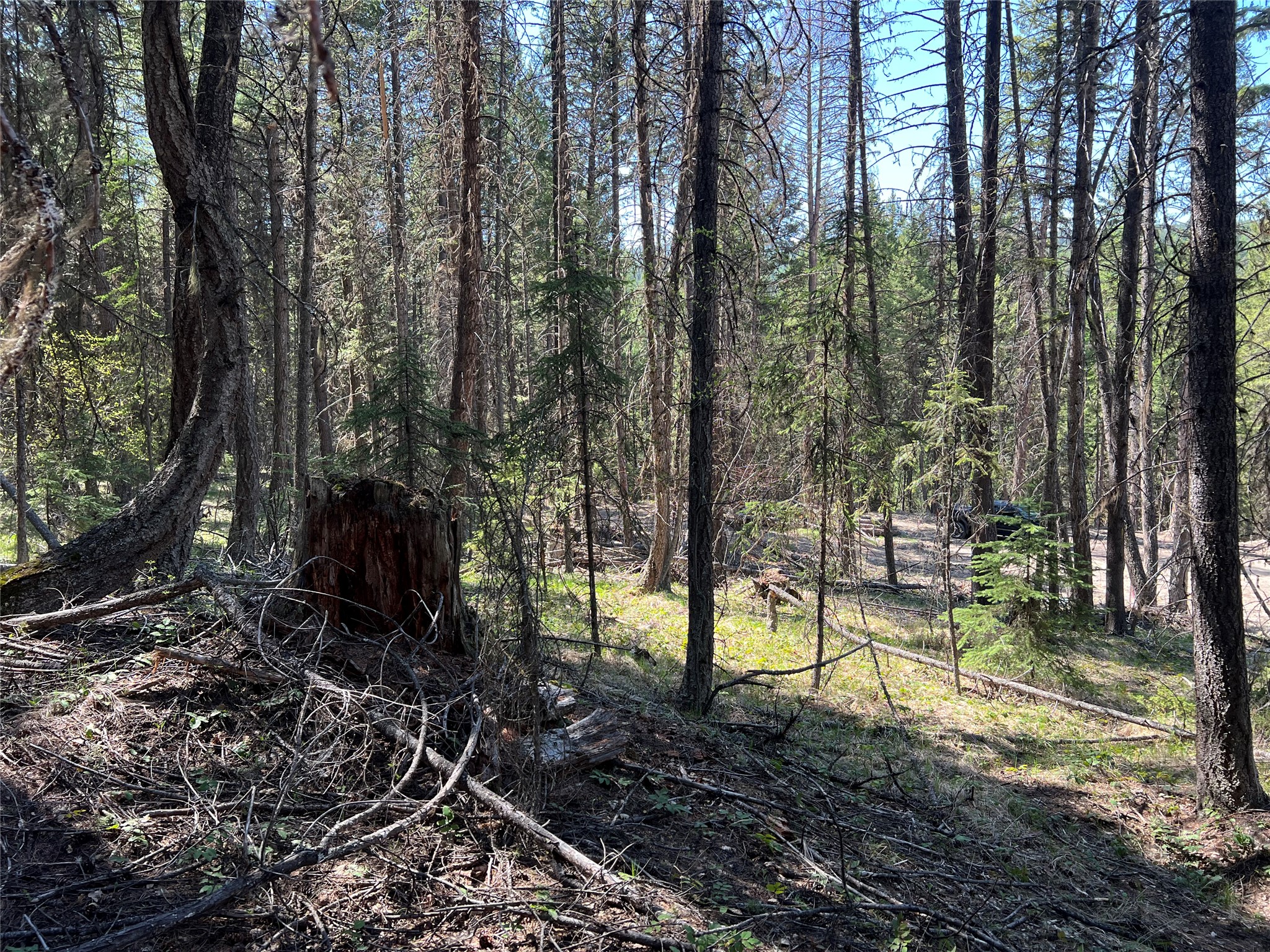 777 Meadow Creek Road Property Photo 25