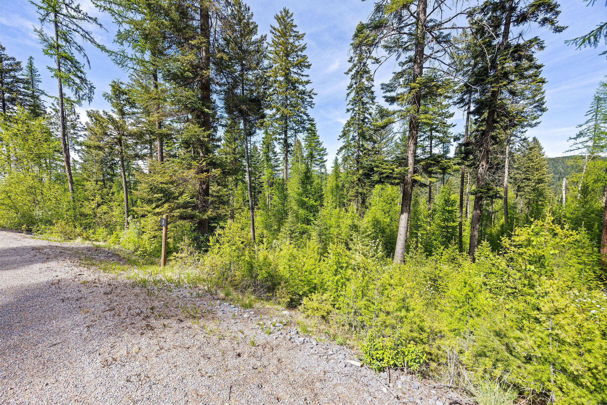 397 Saddlehorn Trail Property Photo 27