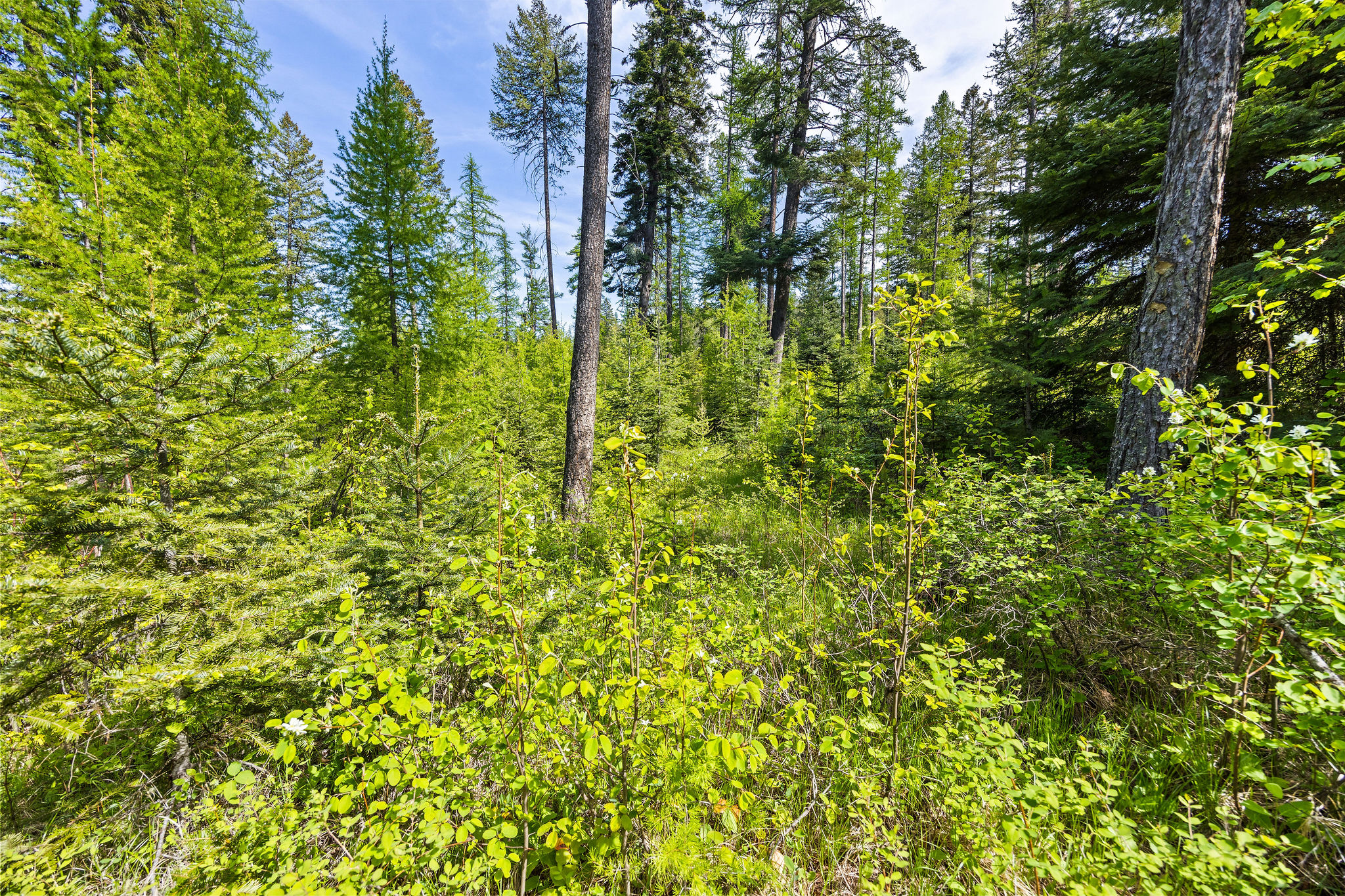 397 Saddlehorn Trail Property Photo 30