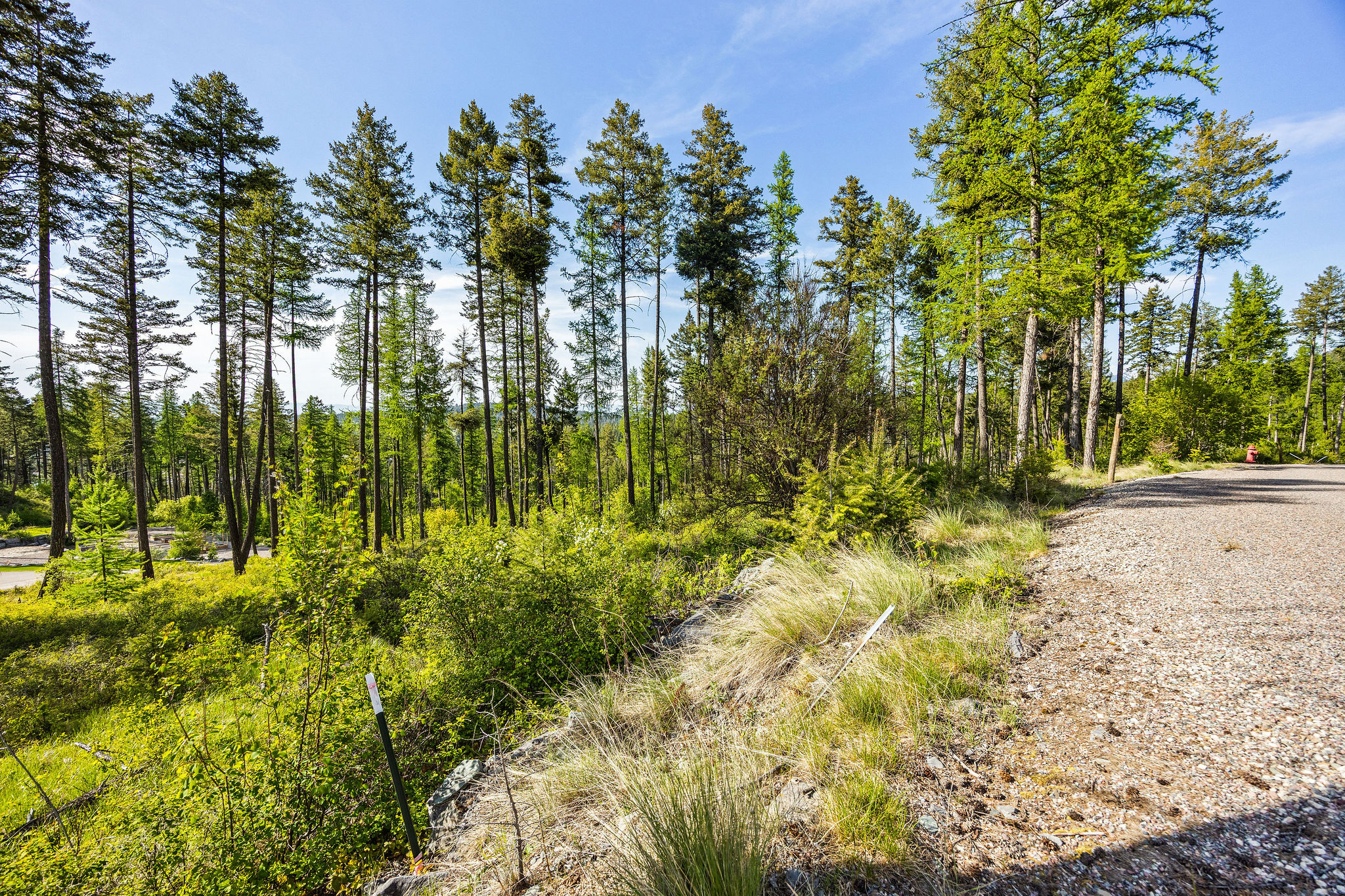 150 Trading Post Trail Property Photo 30