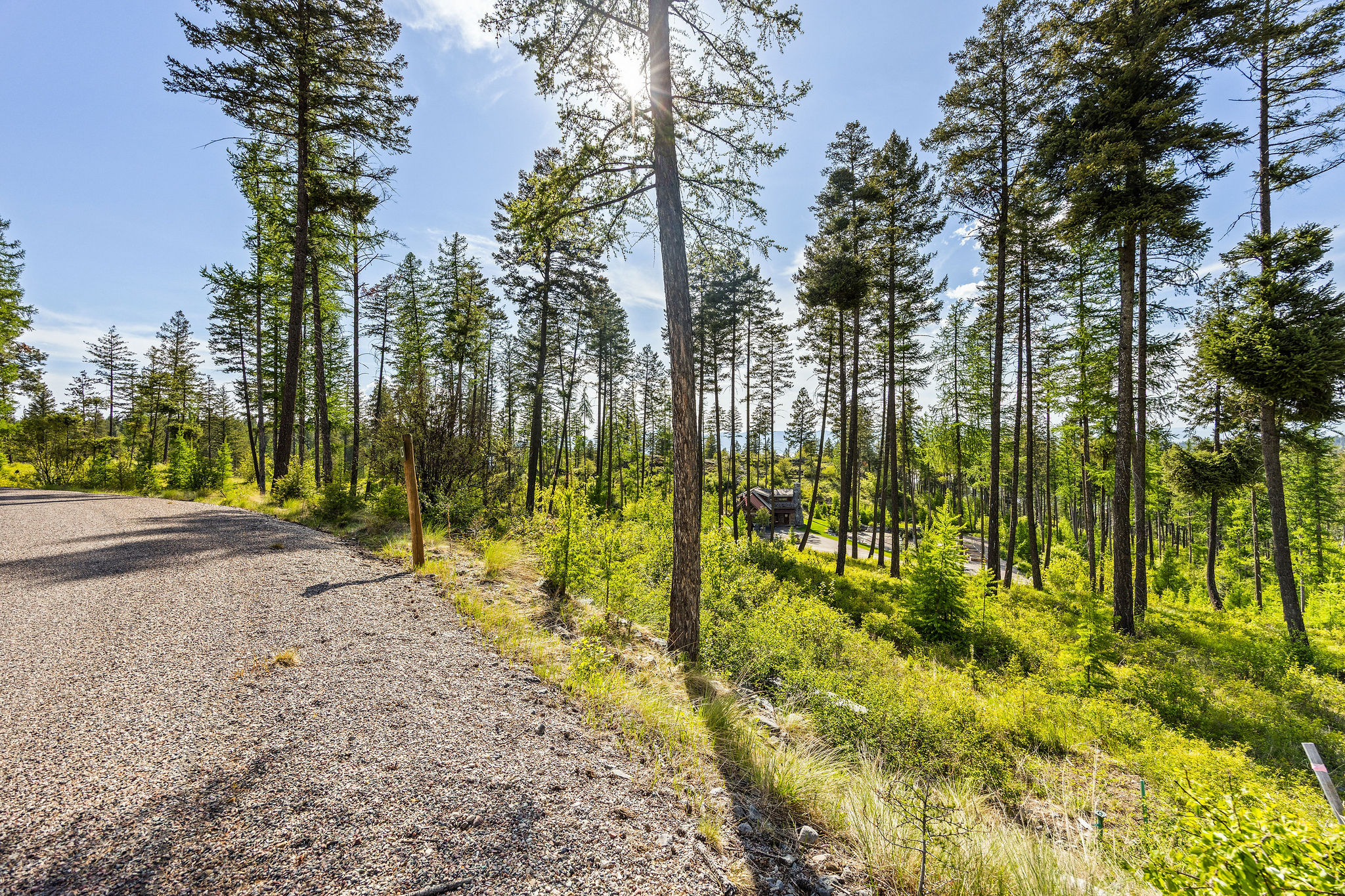 150 Trading Post Trail Property Photo 31