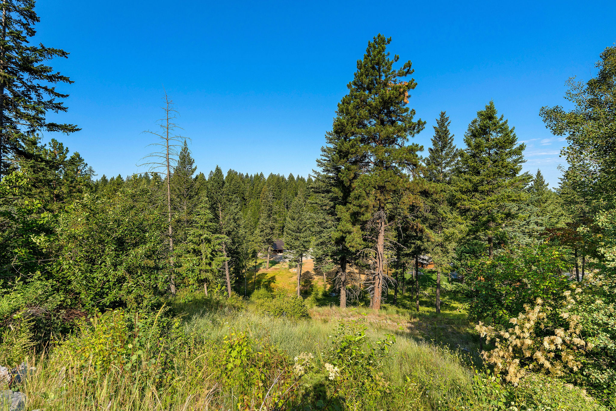 40 Bridle Court Property Photo 30