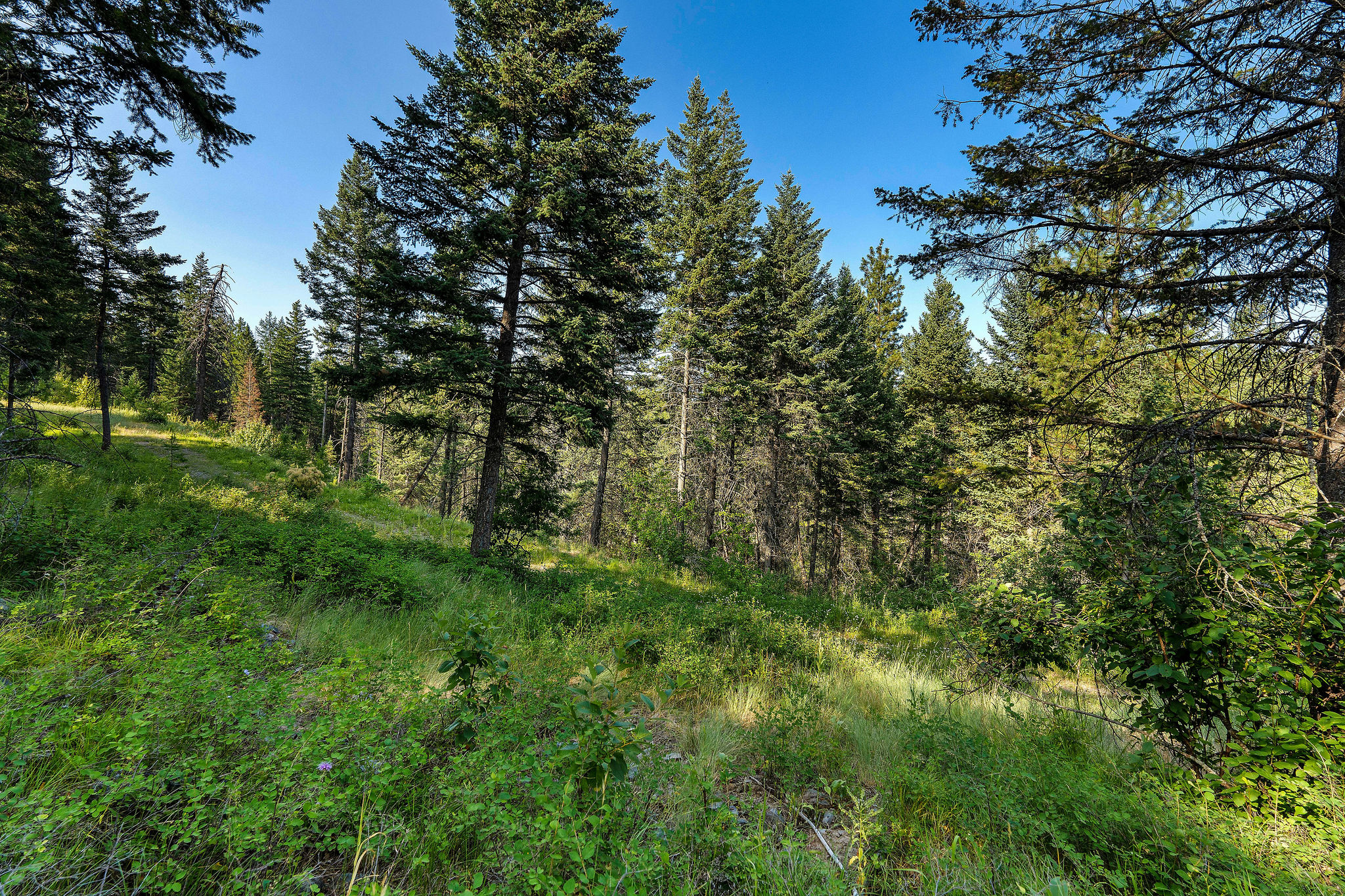 48 Bridle Court Property Photo 27