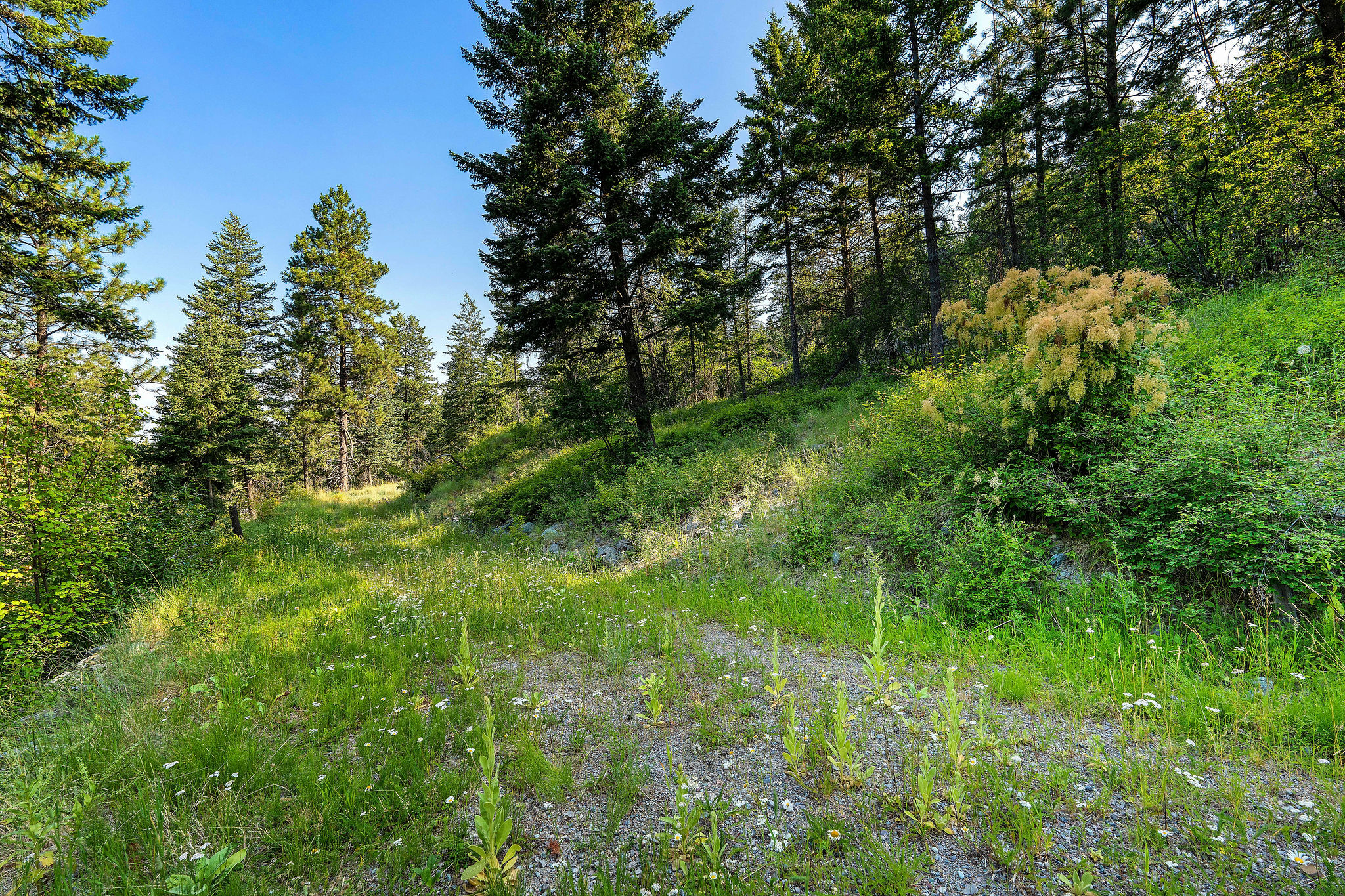 48 Bridle Court Property Photo 28