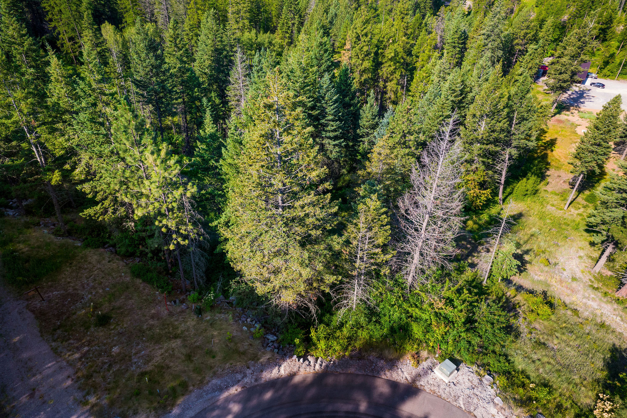 48 Bridle Court Property Photo 29