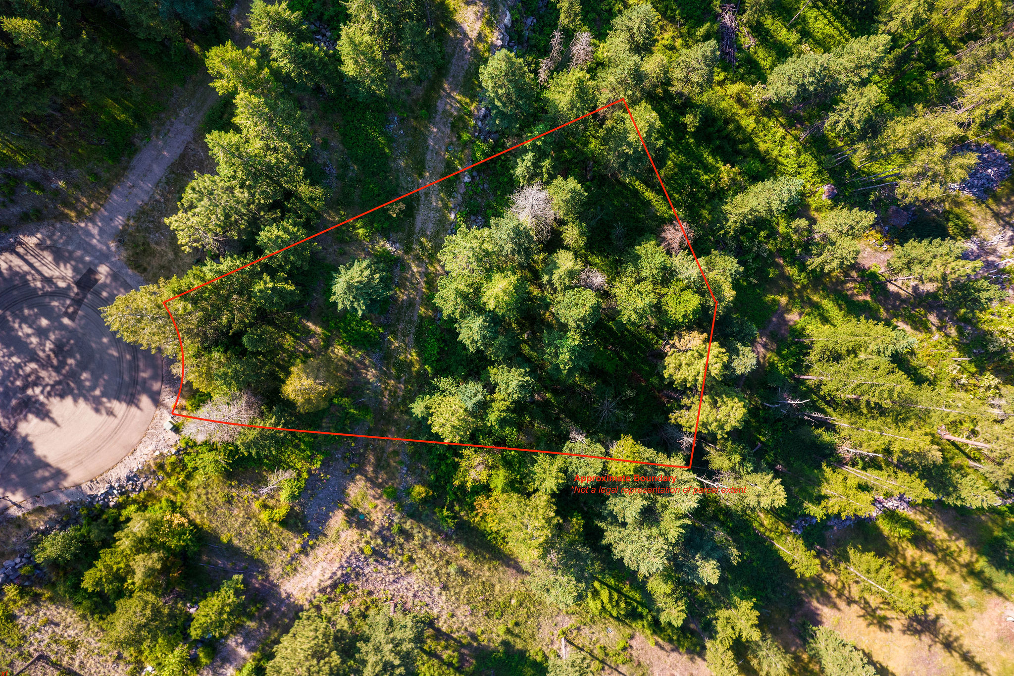 48 Bridle Court Property Photo 30