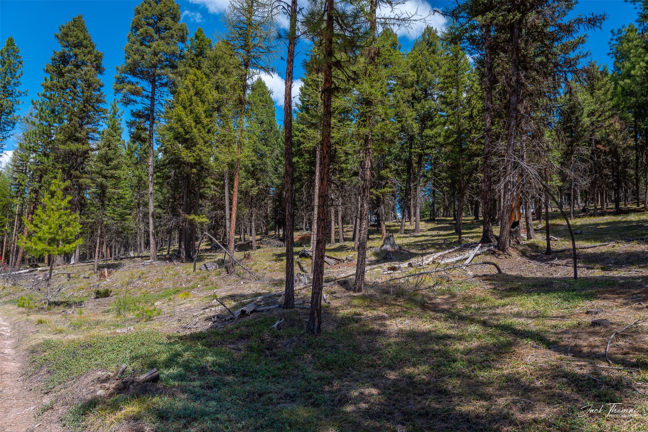 1050 Grandview Drive Property Photo 5