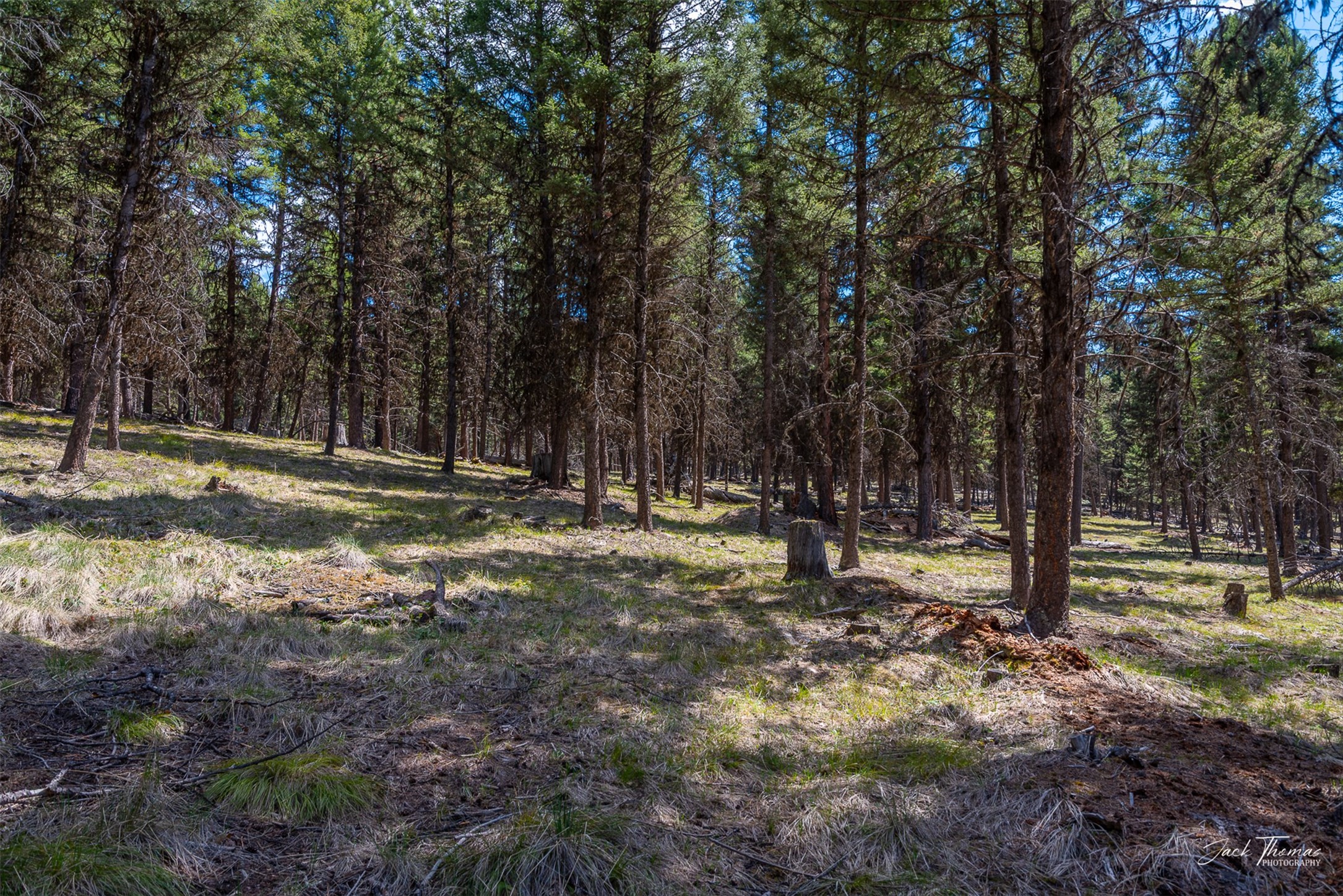 1050 Grandview Drive Property Photo 13