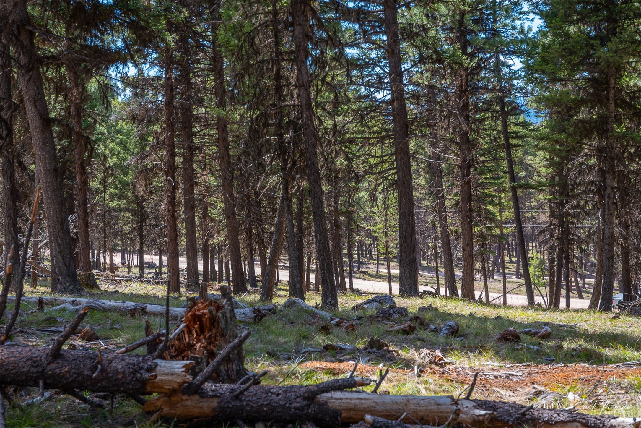 1050 Grandview Drive Property Photo 16