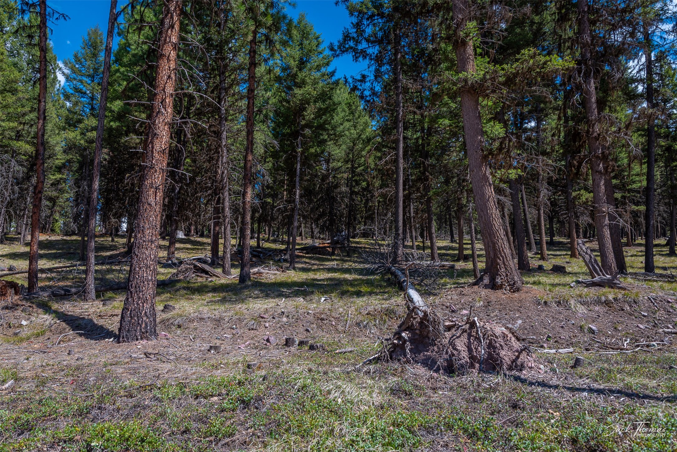 1050 Grandview Drive Property Photo 27