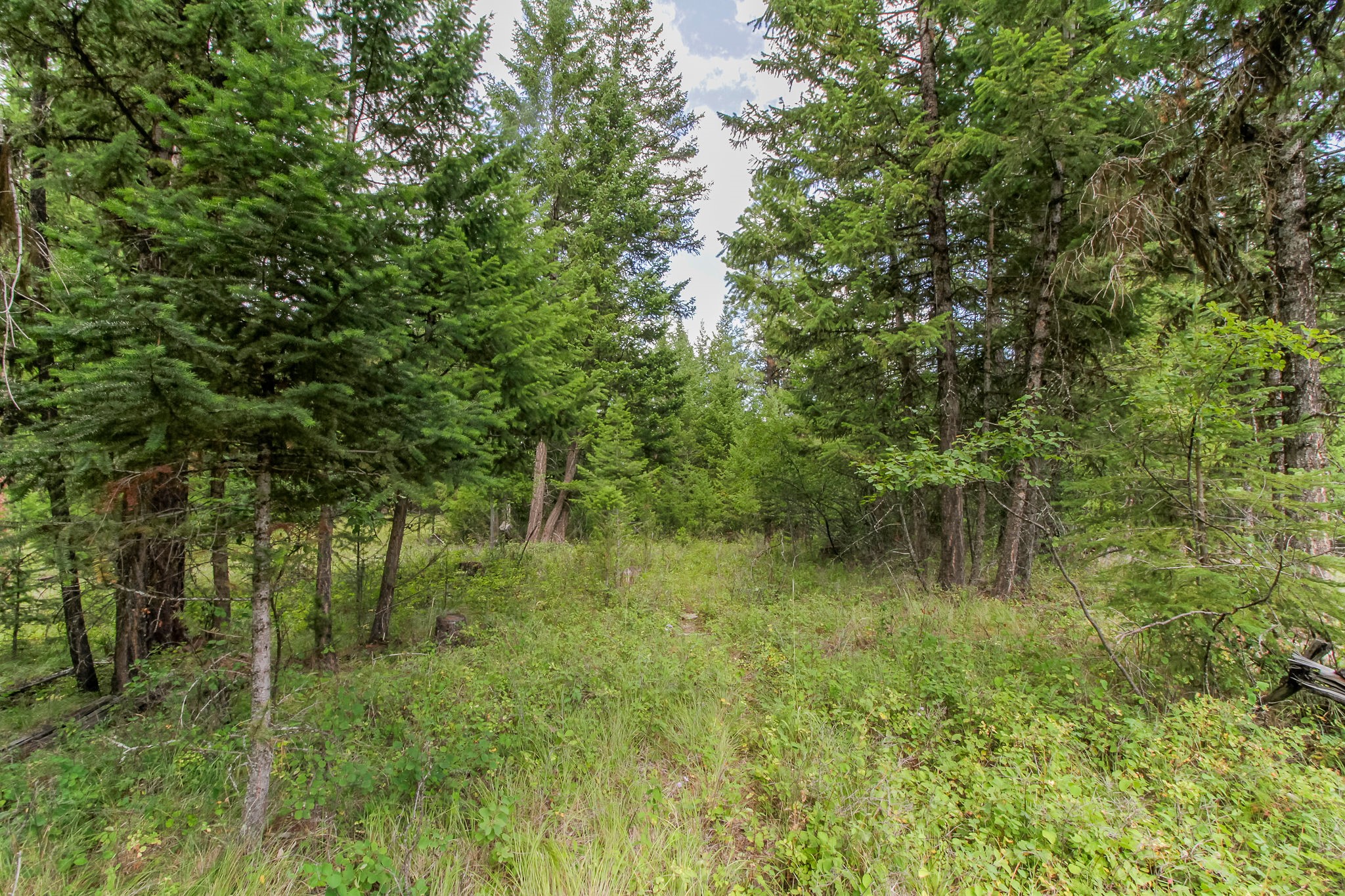 301 Haskill Ranch Road Property Photo