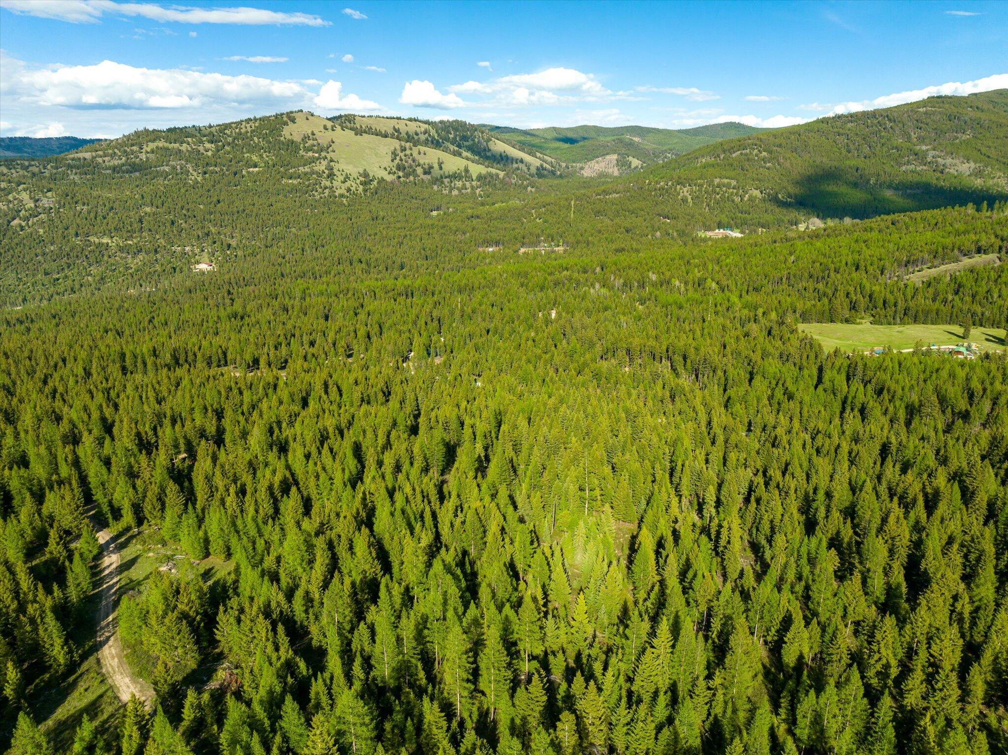 Lot 6a Wild Bill Road Property Photo 11