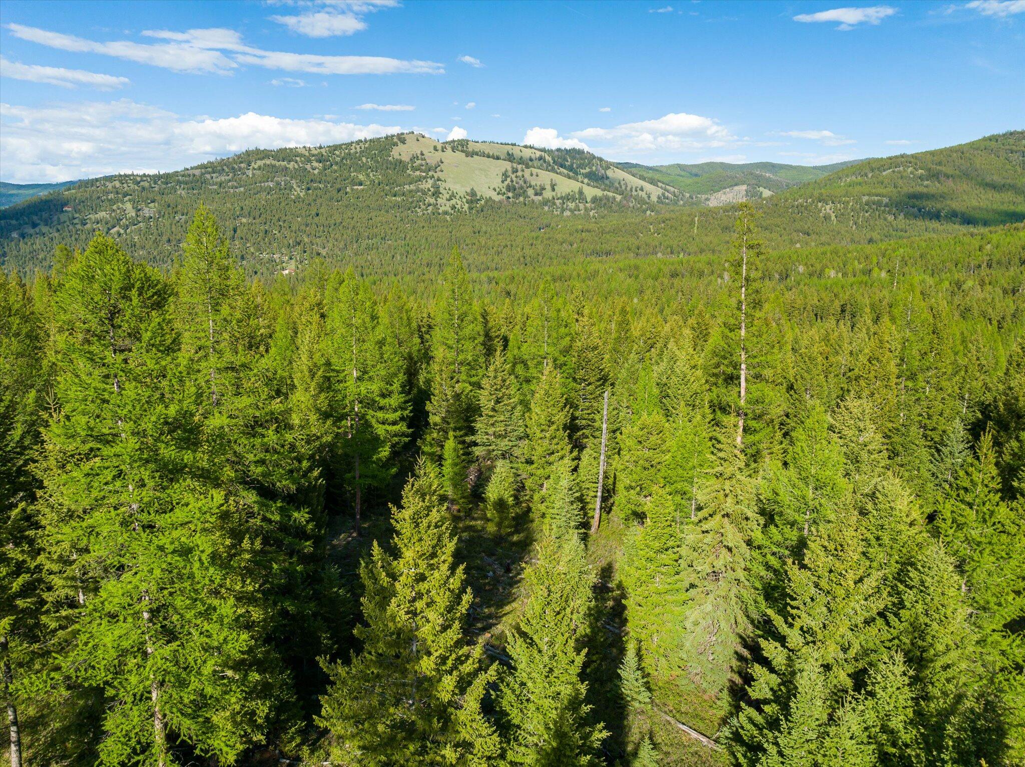 Lot 6a Wild Bill Road Property Photo 14
