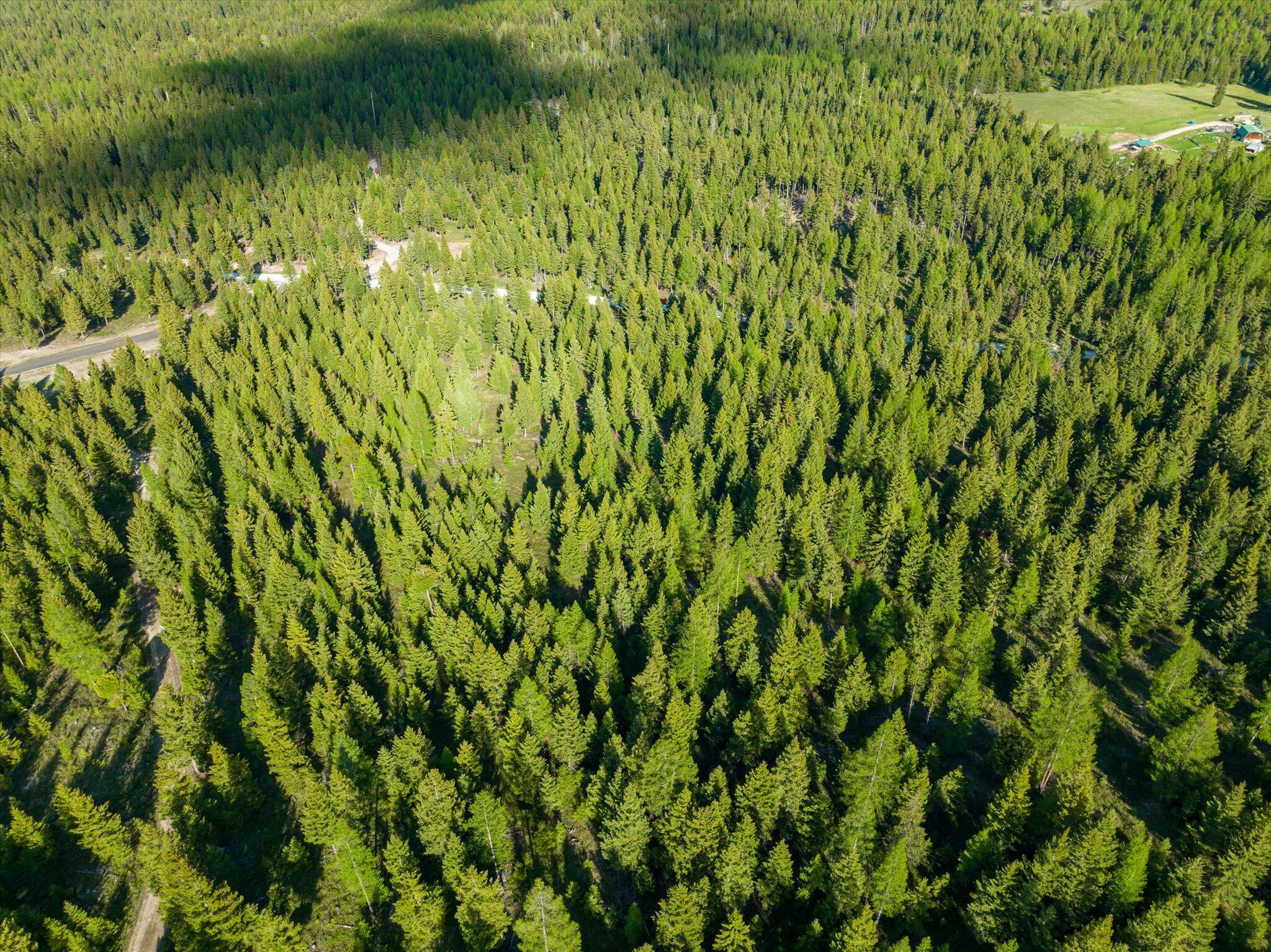 Lot 6a Wild Bill Road Property Photo 19
