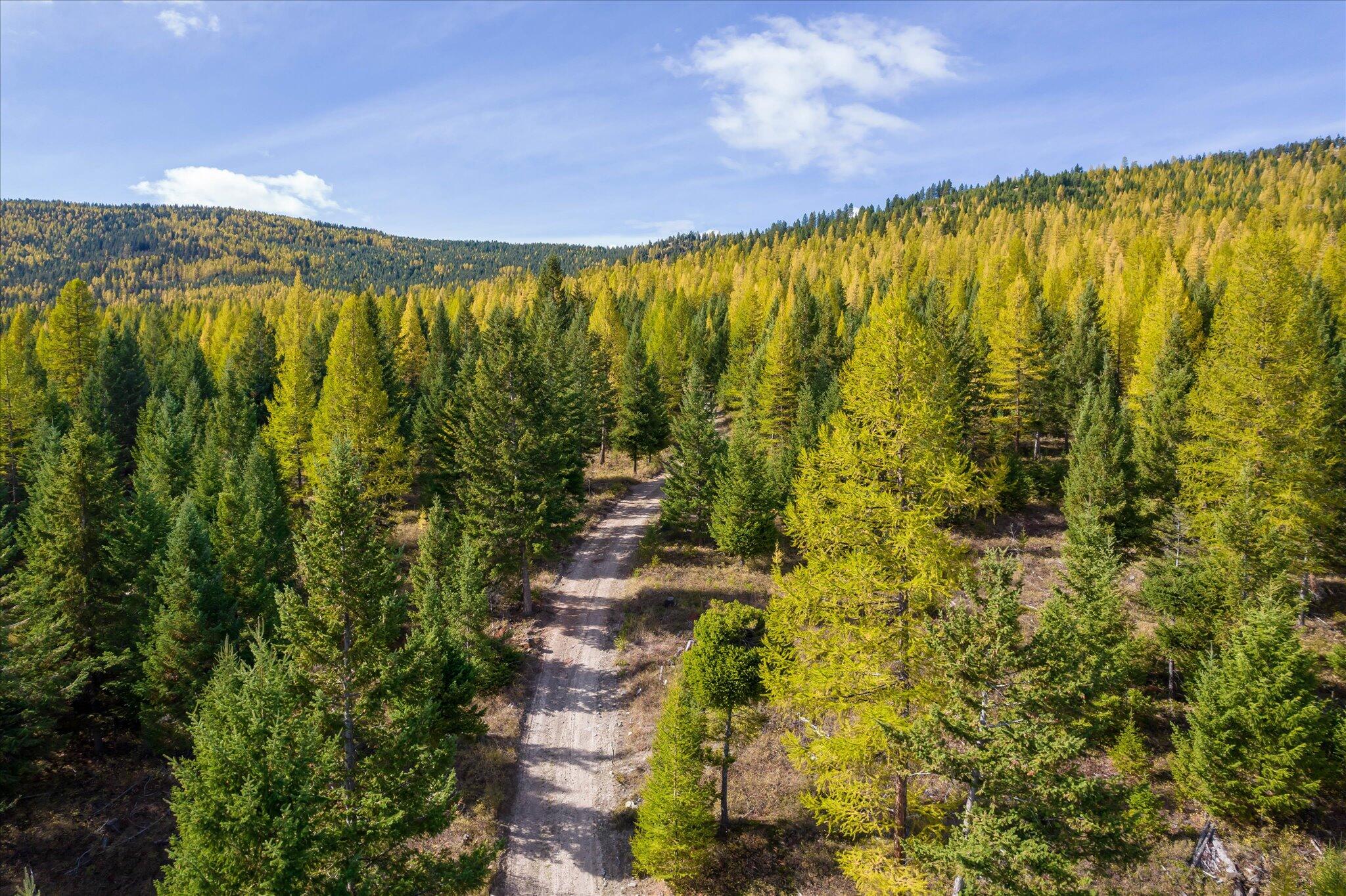 Lot 6a Wild Bill Road Property Photo 29