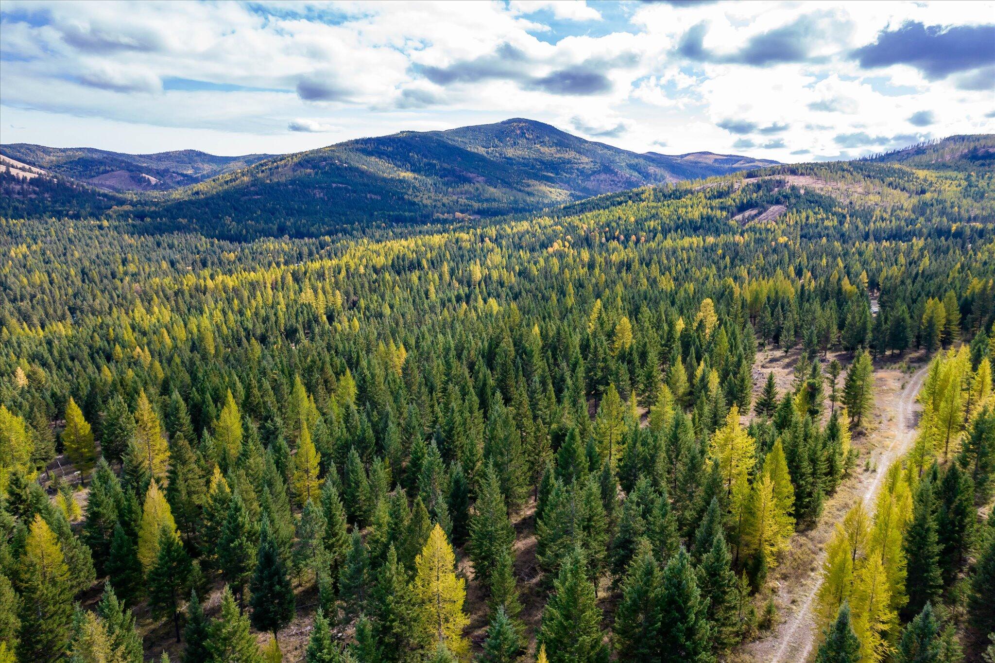 Lot 6a Wild Bill Road Property Photo 31