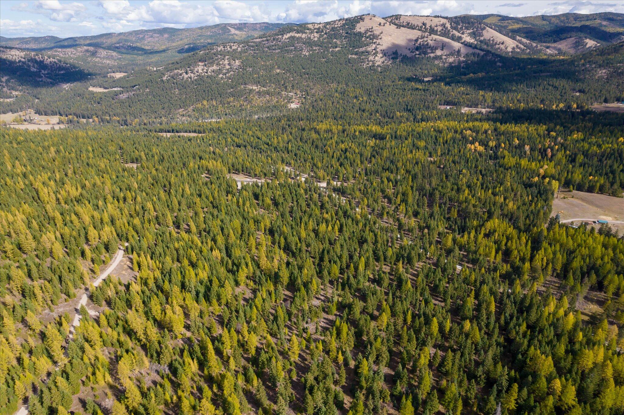 Lot 6a Wild Bill Road Property Photo 33