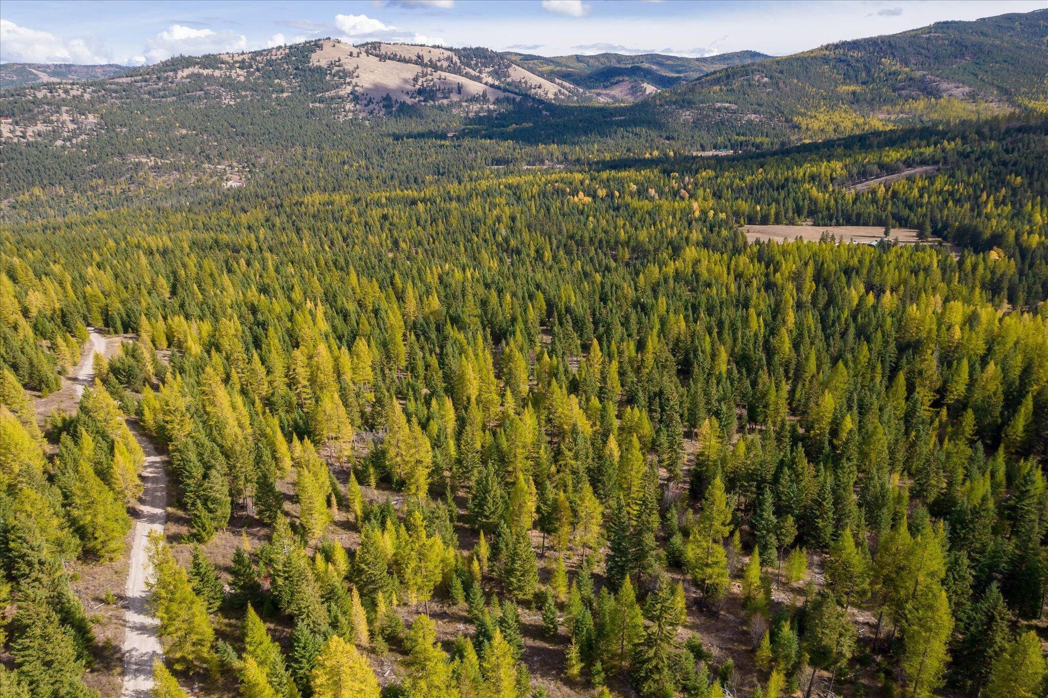 Lot 6a Wild Bill Road Property Photo 34