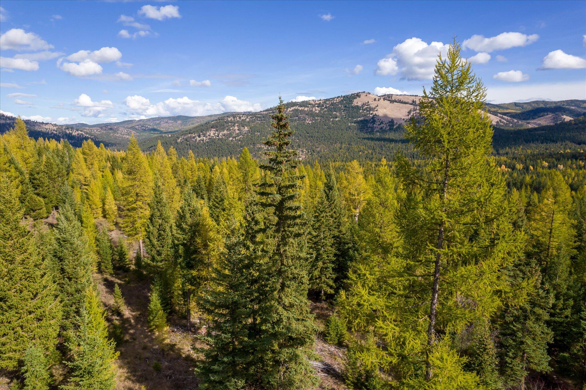 Lot 6a Wild Bill Road Property Photo 35