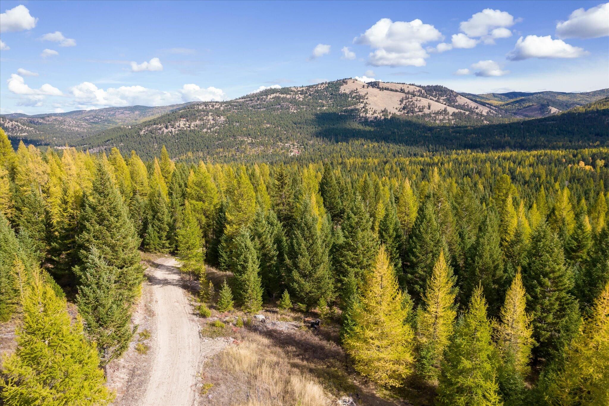 Lot 6a Wild Bill Road Property Photo 37