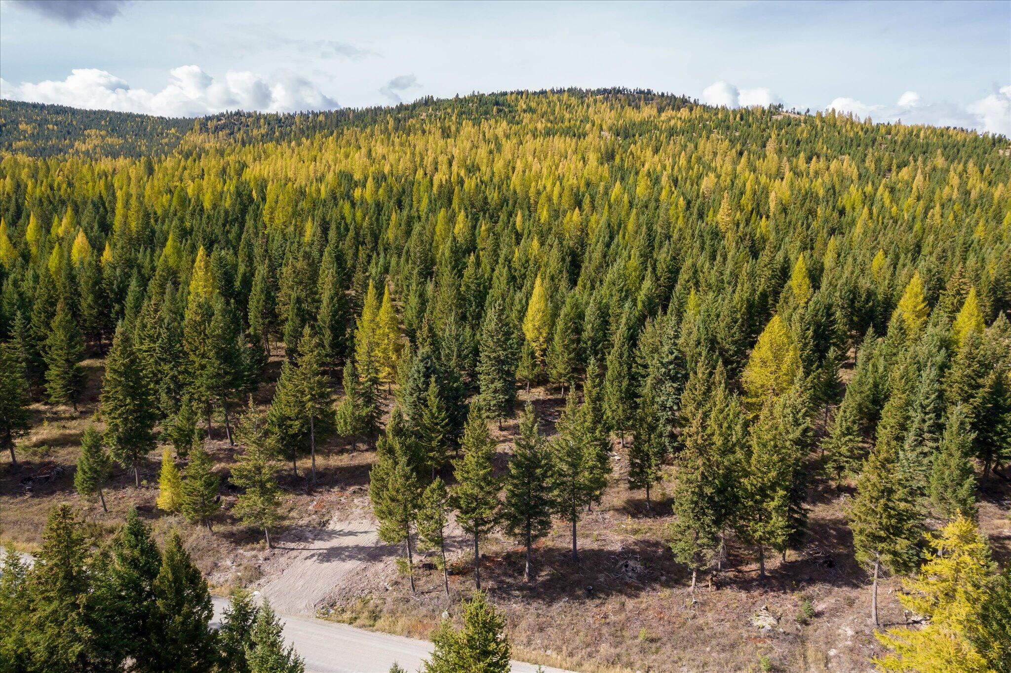 Lot 6a Wild Bill Road Property Photo 42