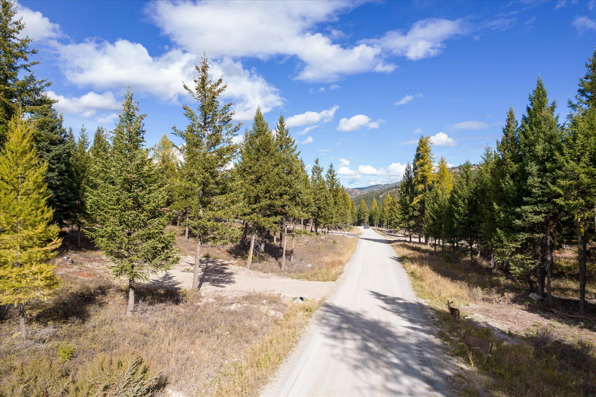 Lot 6a Wild Bill Road Property Photo 43