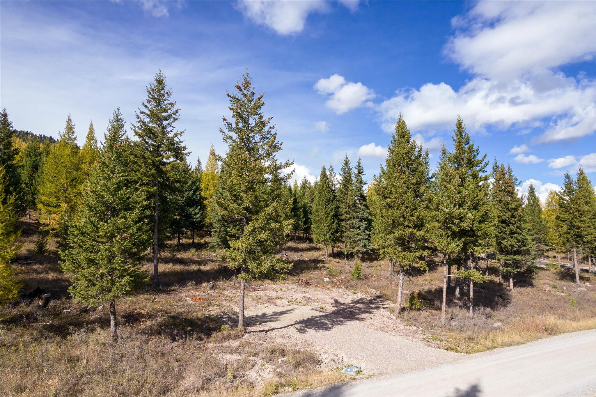 Lot 6a Wild Bill Road Property Photo 44