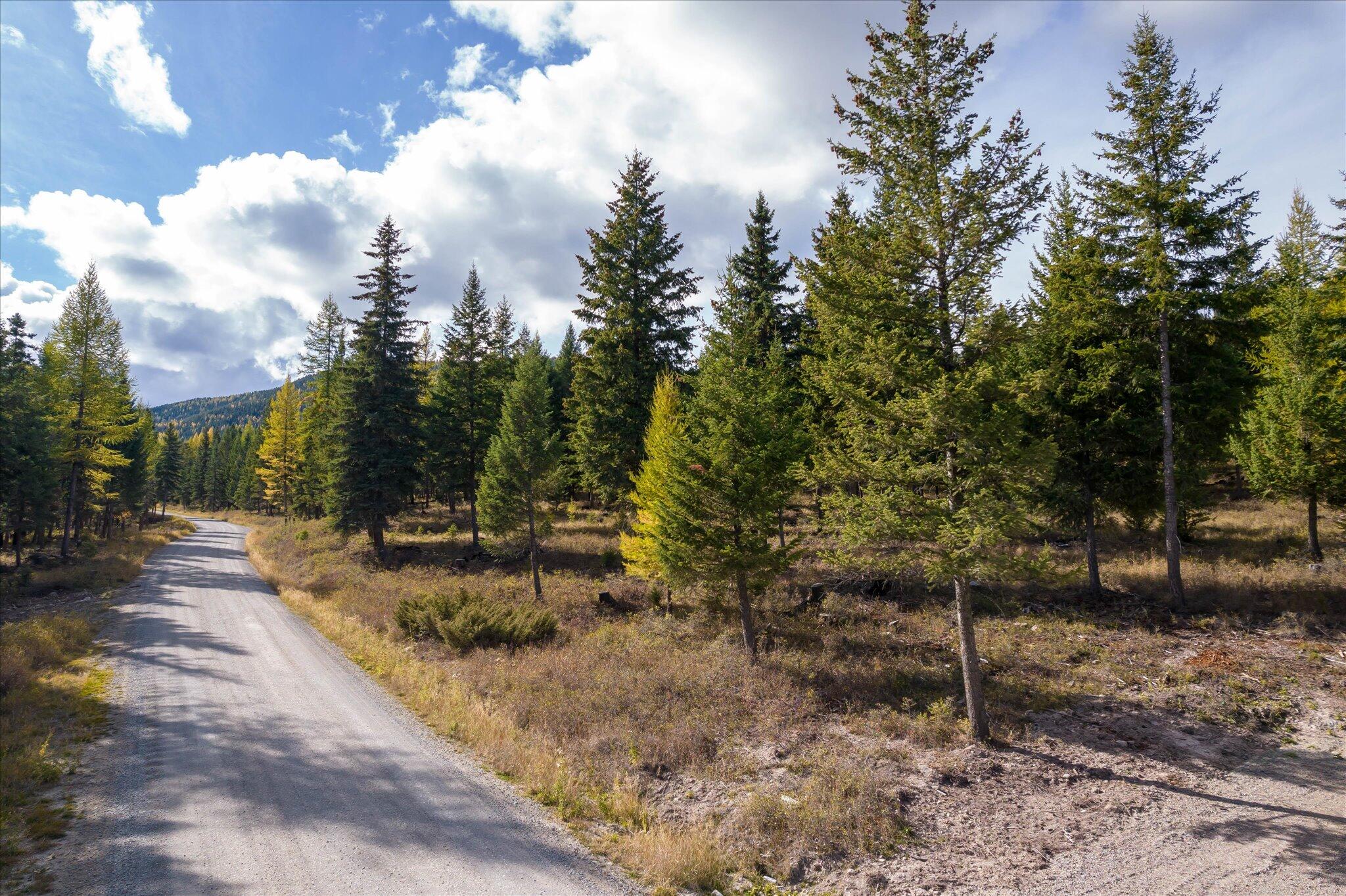 Lot 6a Wild Bill Road Property Photo 45