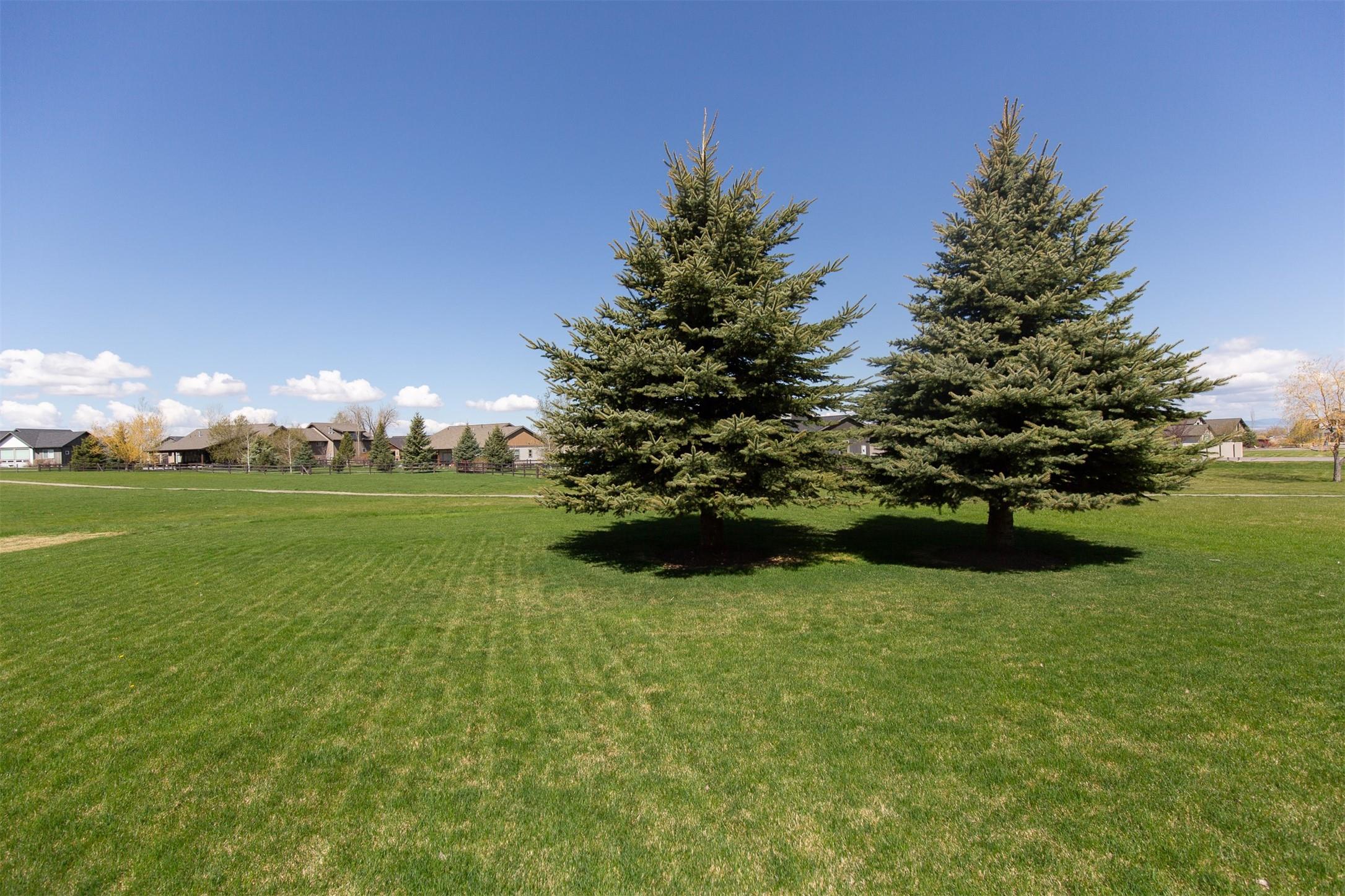 423 Parklands Trail Property Photo 48