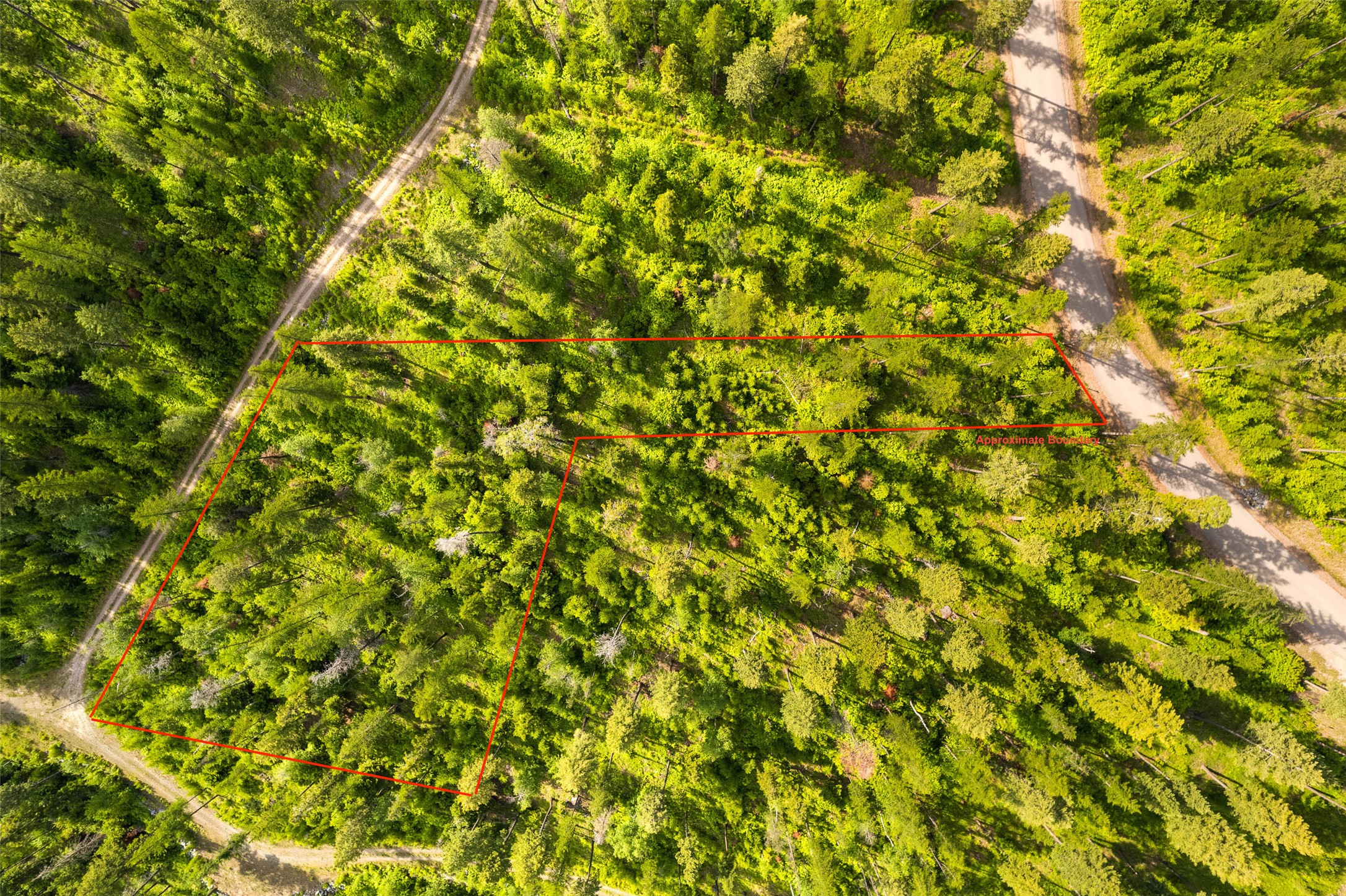 401 Saddlehorn Trail Property Photo 29